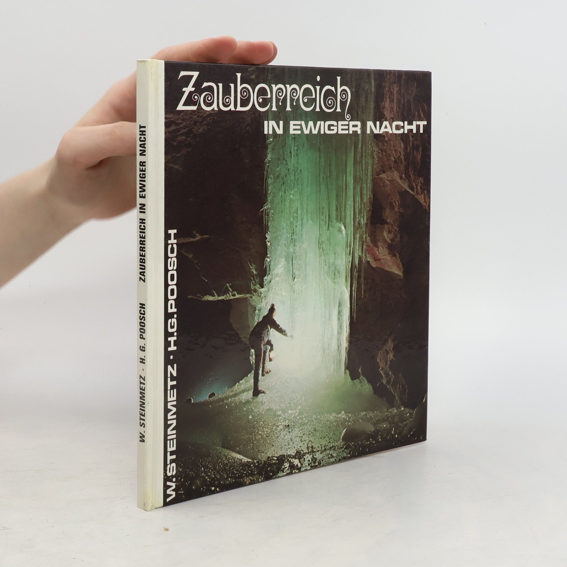 Wilhelm Steinmetz Zauberreich in ewiger Nacht