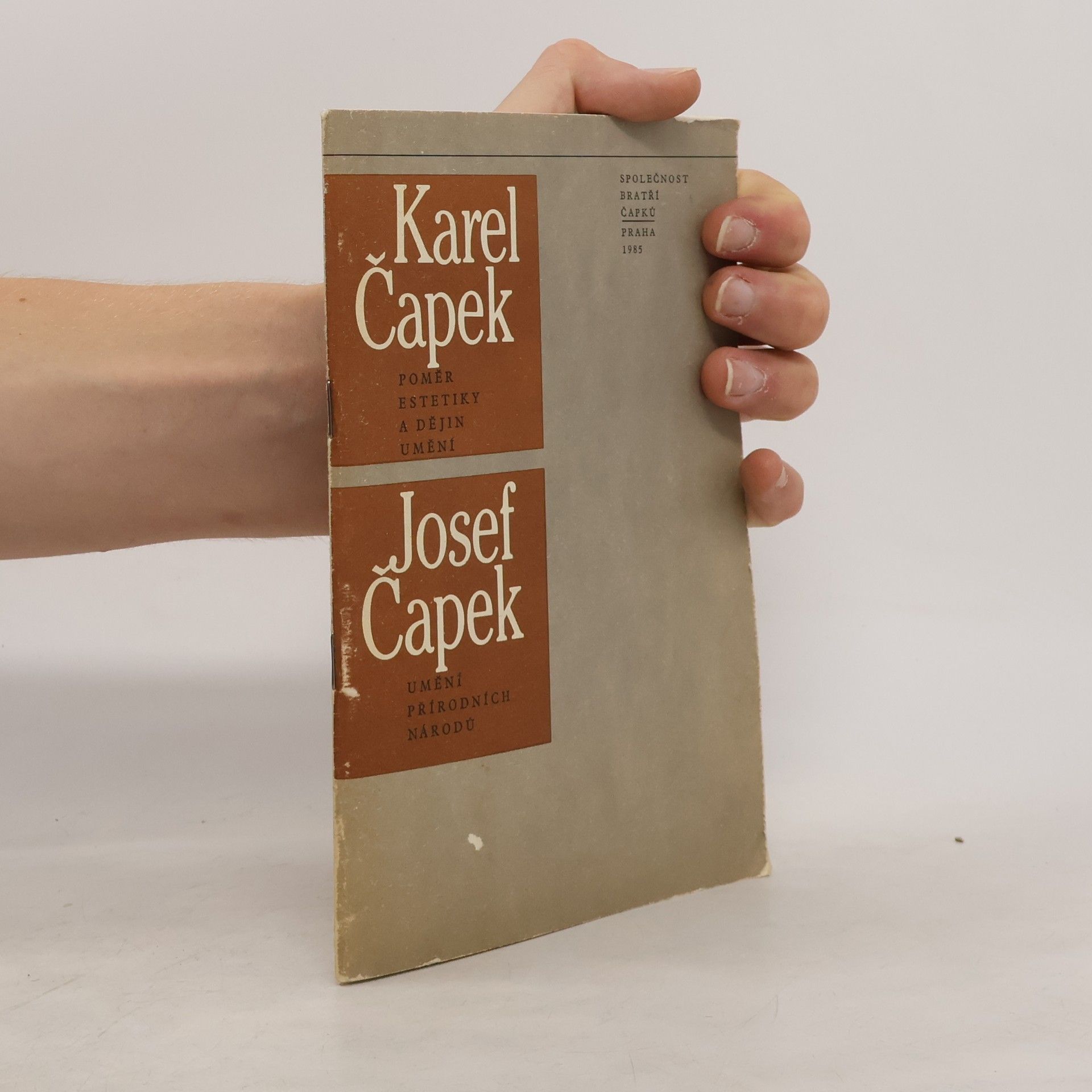 Karel Čapek Poměr estetiky a dějin umění
