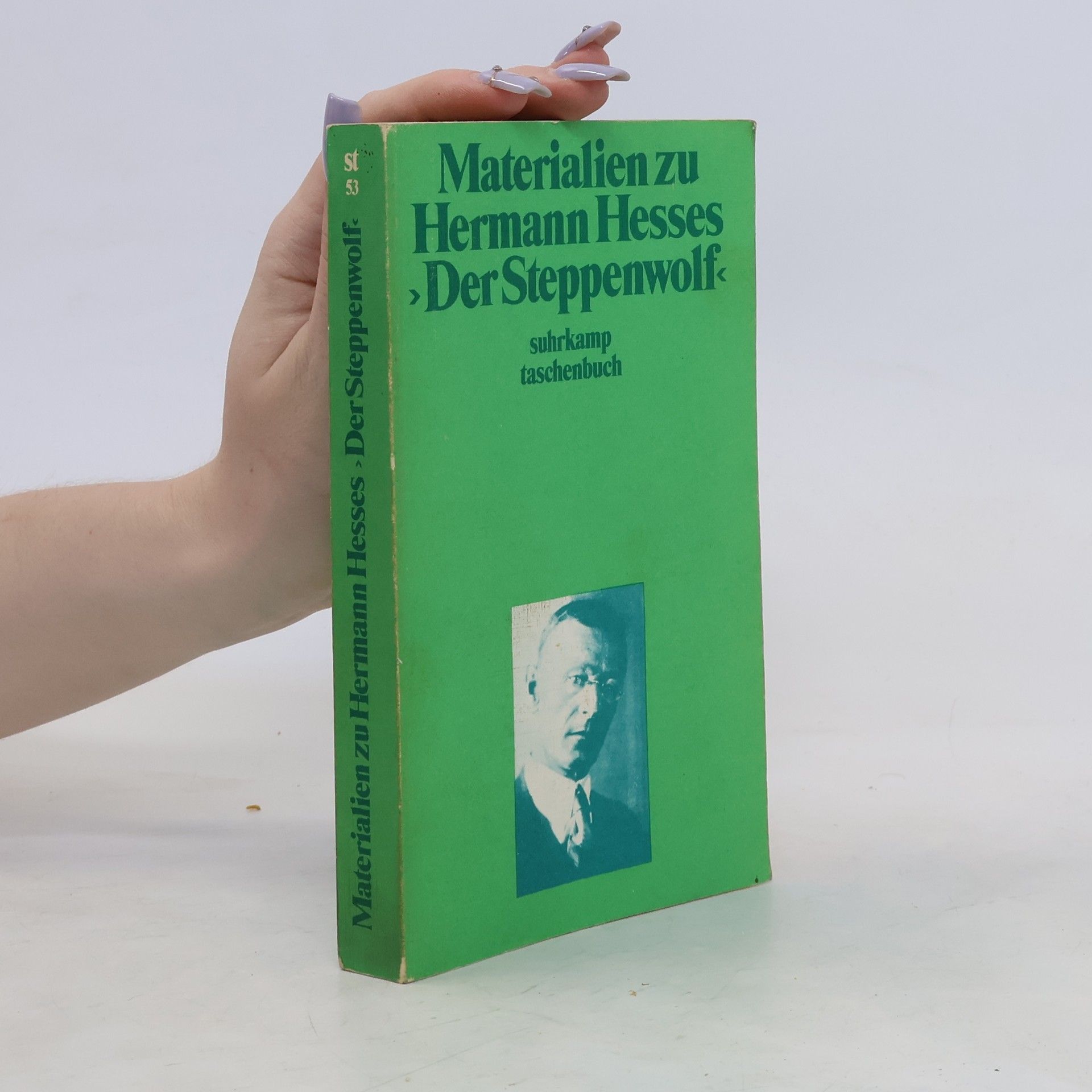 Volker Michels Materialien zu Hermann Hesses Der Steppenwolf
