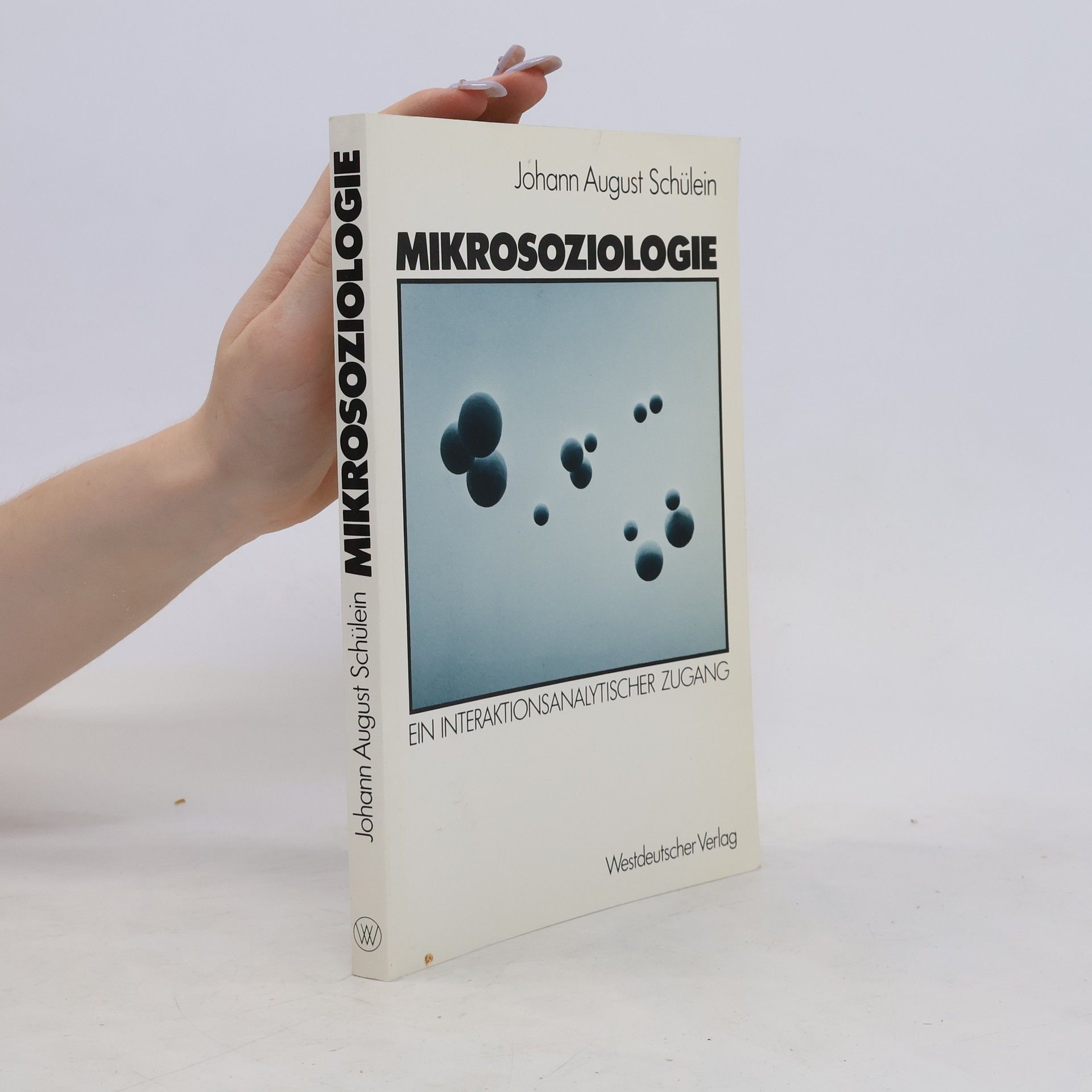 Johann August Schülein Mikrosoziologie