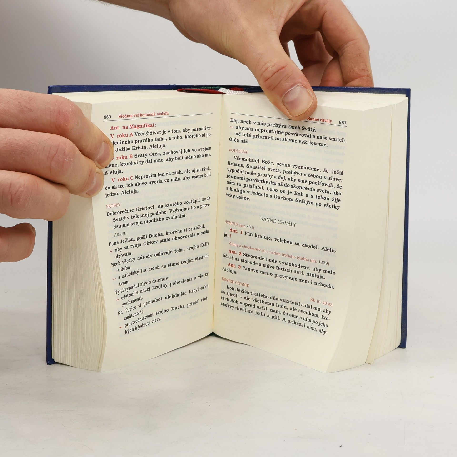 Autorenkollektiv Liturgia hodín na posvätenie času