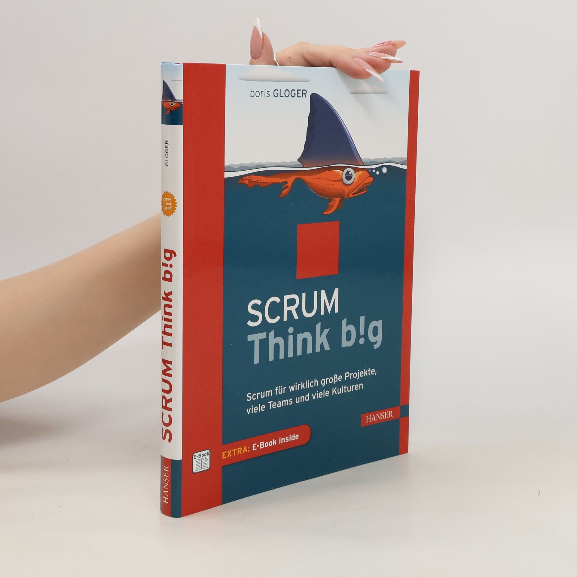 Boris Gloger Scrum - think big