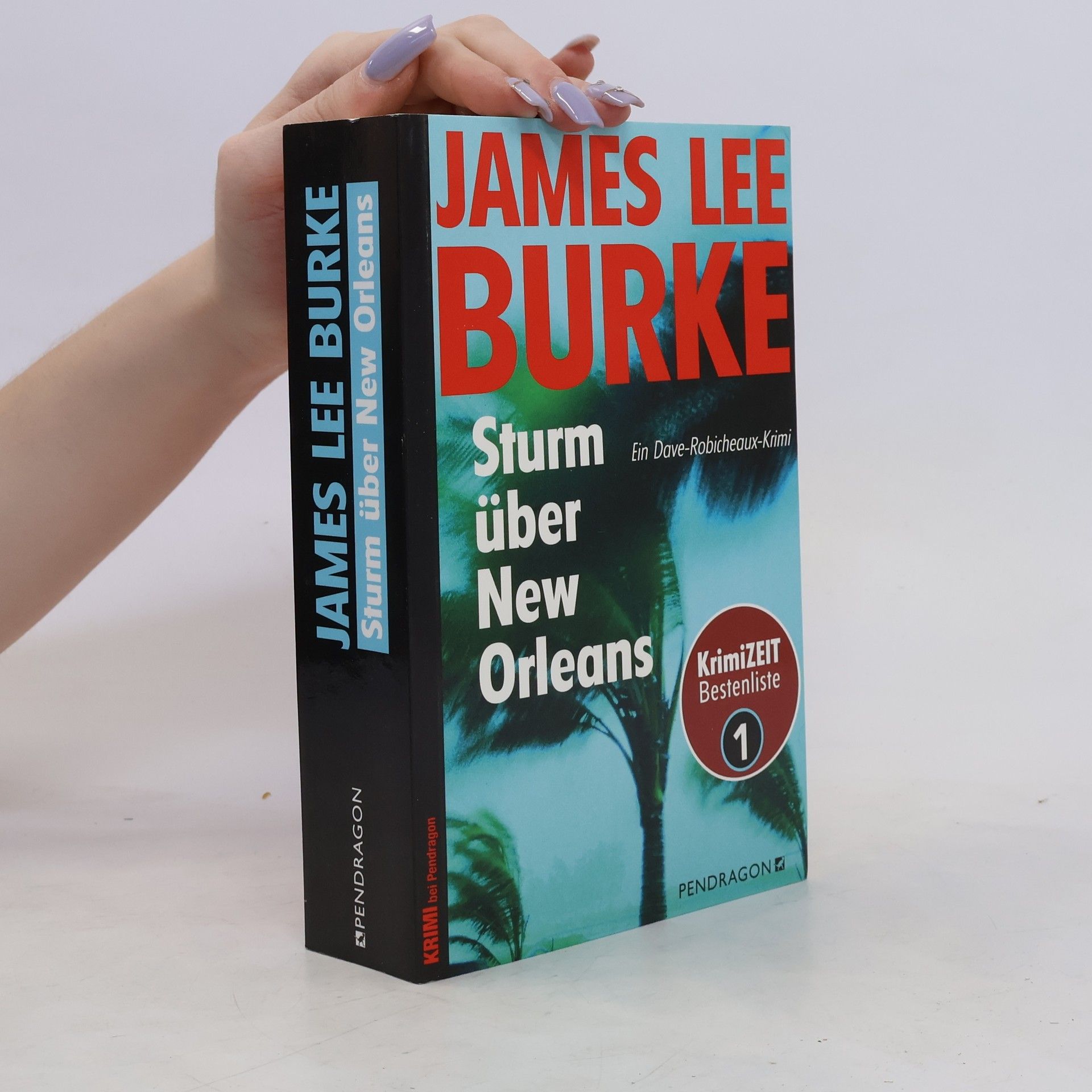 James Lee Burke Sturm über New Orleans
