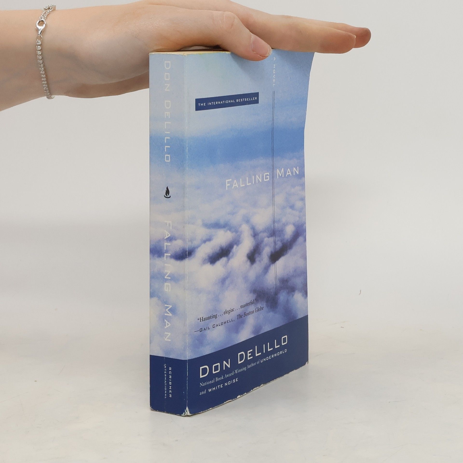 Don DeLillo Falling Man