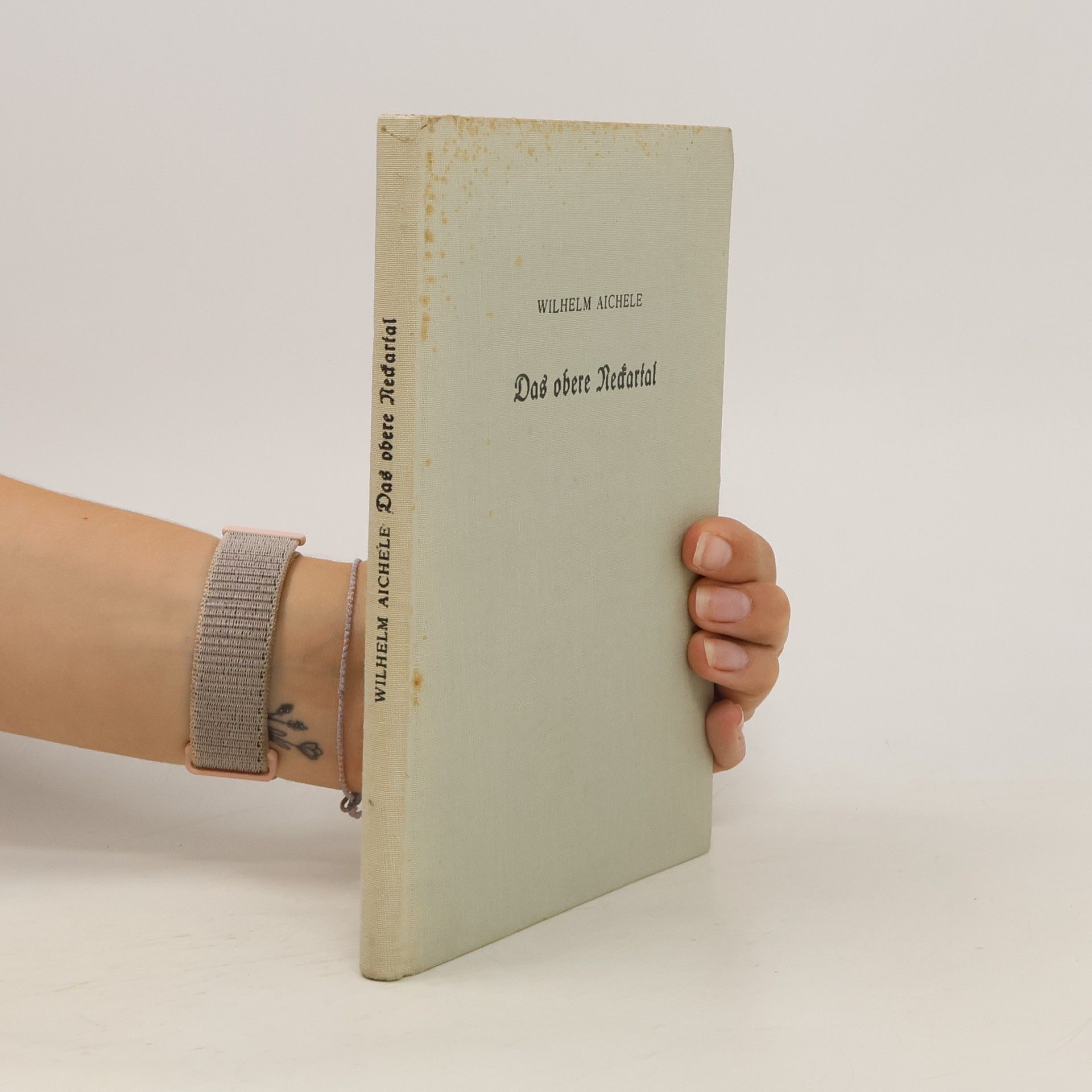 Wilhelm Aichele Das obere Neckartal in Städtebildern