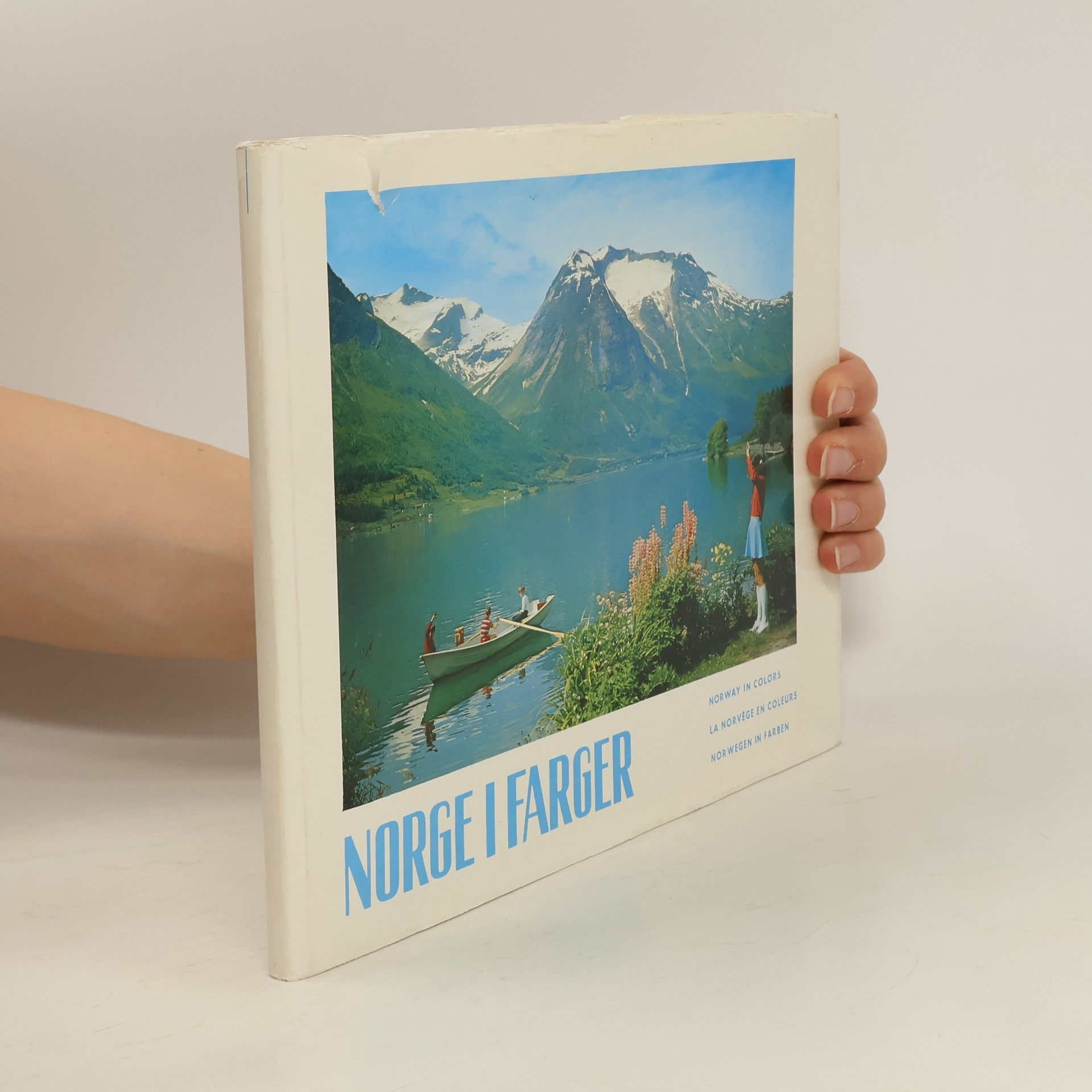 Autorenkollektiv Norge I Farger