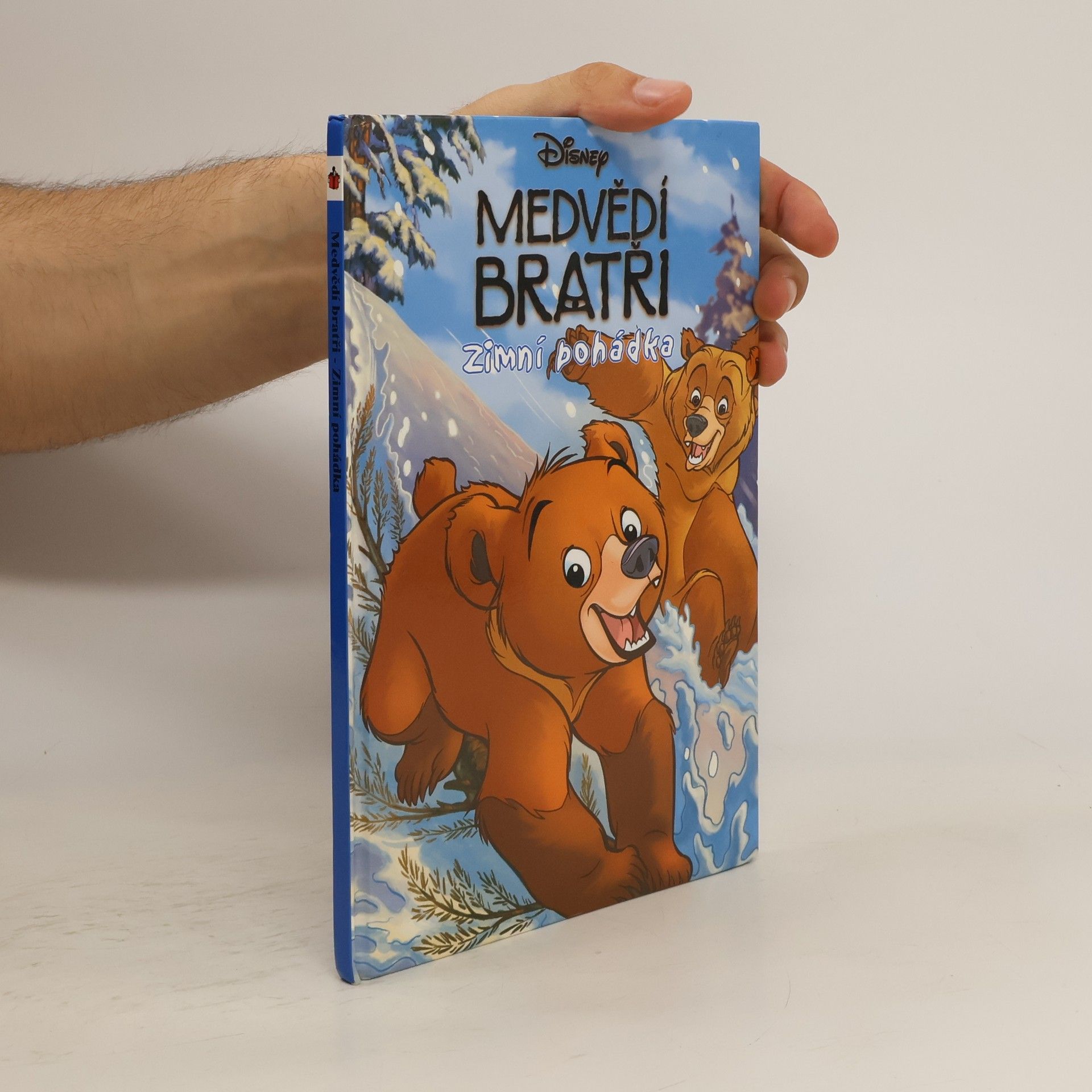 Walt Disney Medvědí bratři. Zimní pohádka