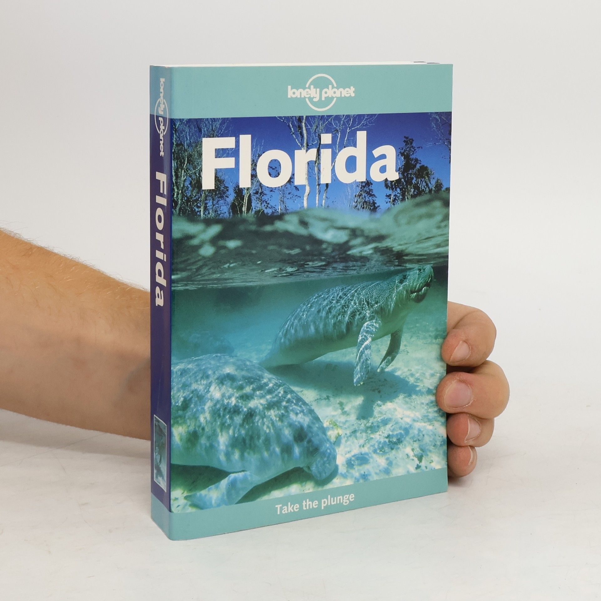 Corinna Selby Florida