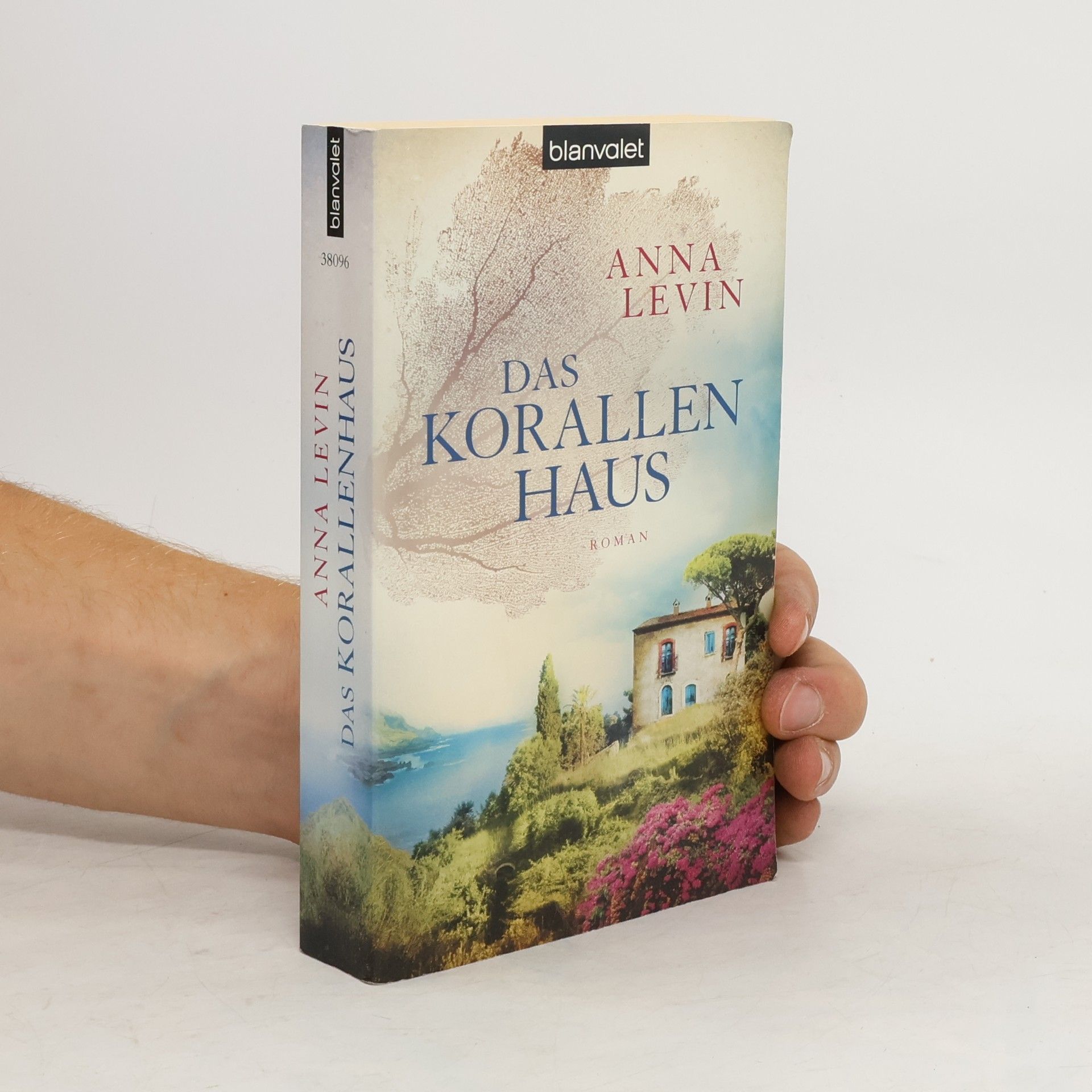 Anna Levin Das Korallenhaus