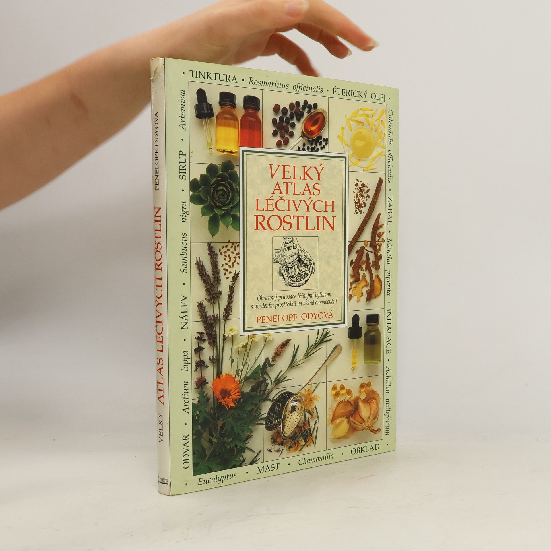 Pénélope Ody Velký atlas léčivých rostlin