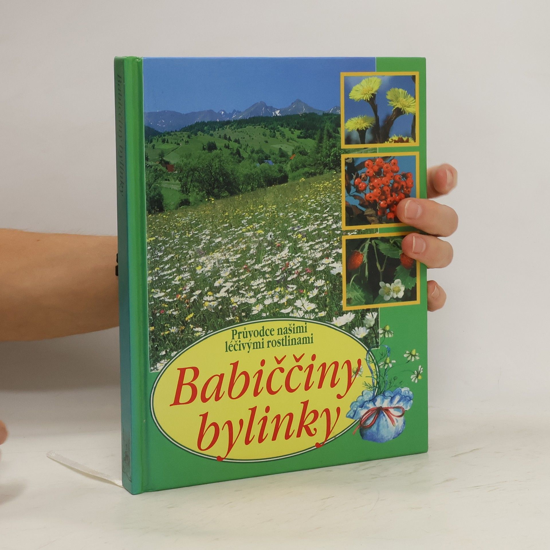 Aurélia Dugas Babiččiny bylinky : průvodce našimi léčivými rostlinami