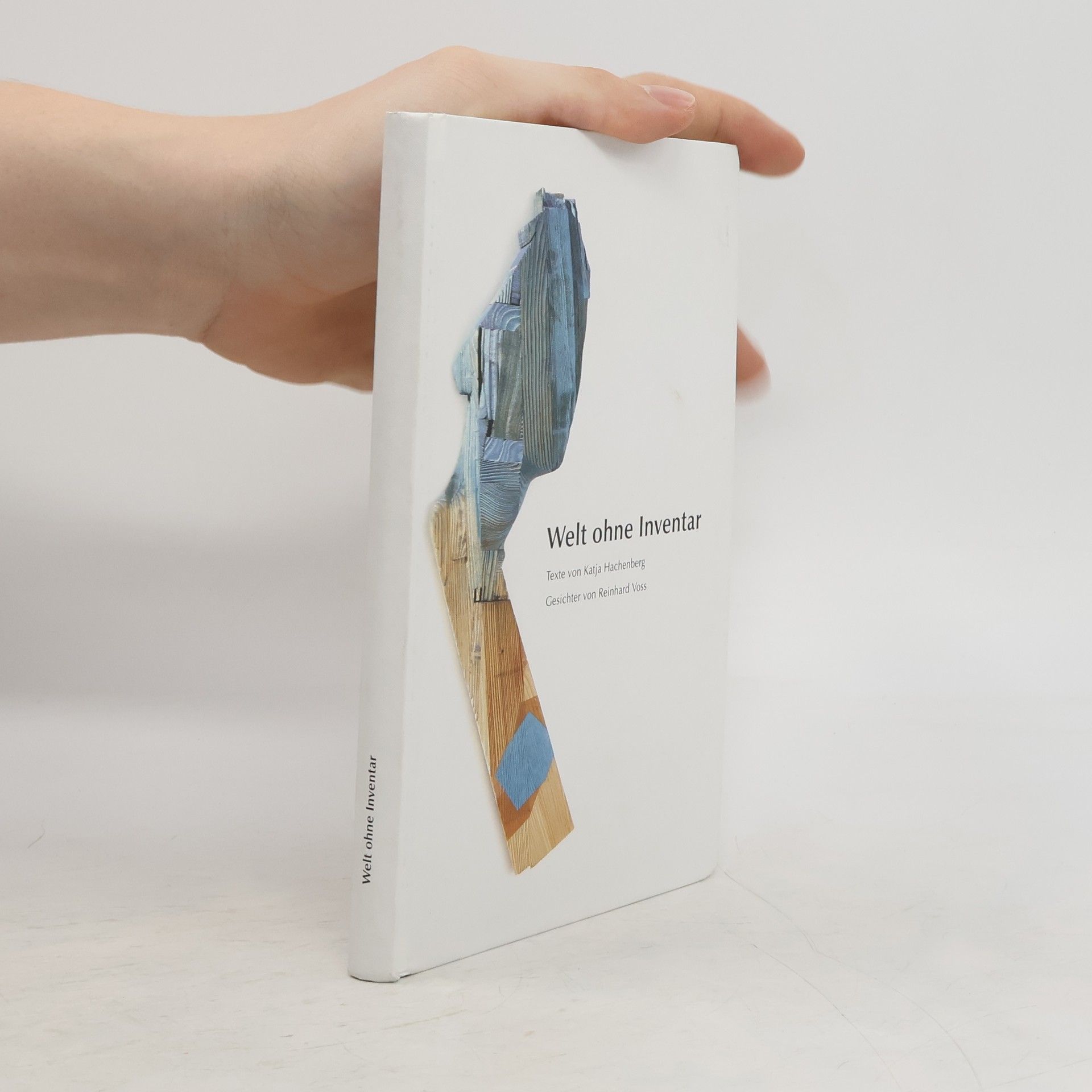 Katja Hachenberg Welt ohne Inventar