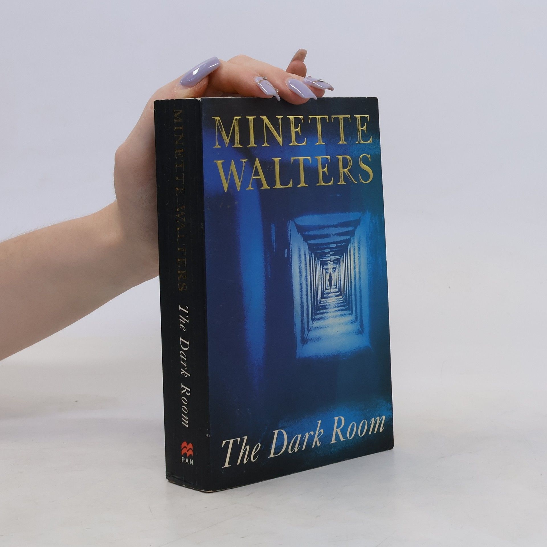 Minette Walter The Dark Room