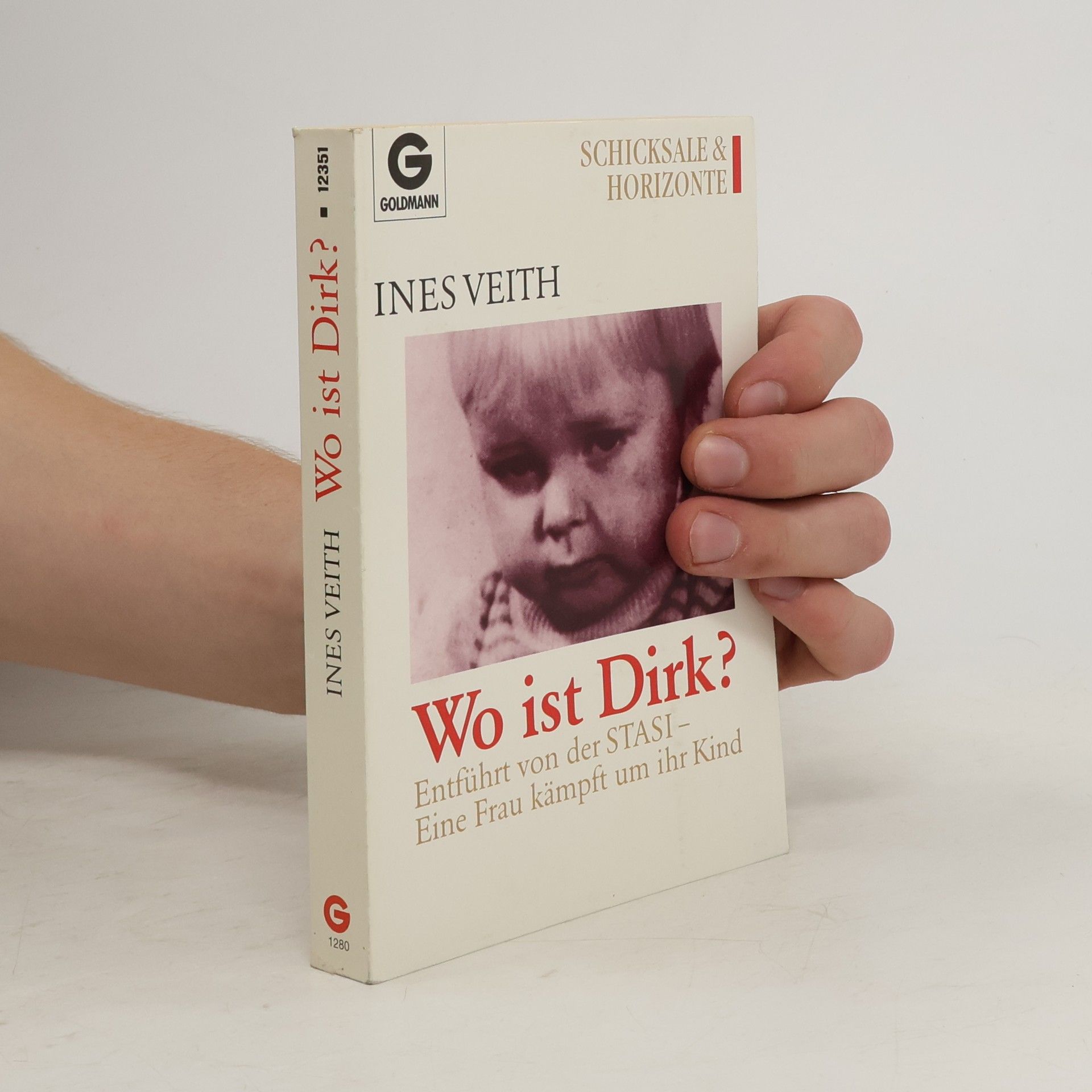 Ines Veith Wo ist Dirk?