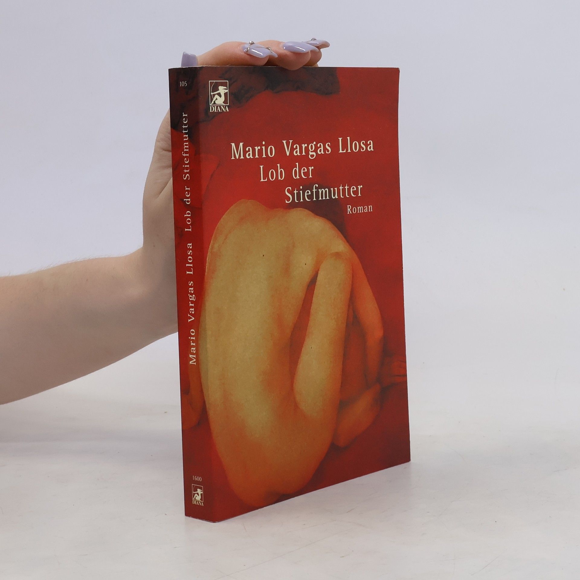Mario Vargas Llosa Lob der Stiefmutter