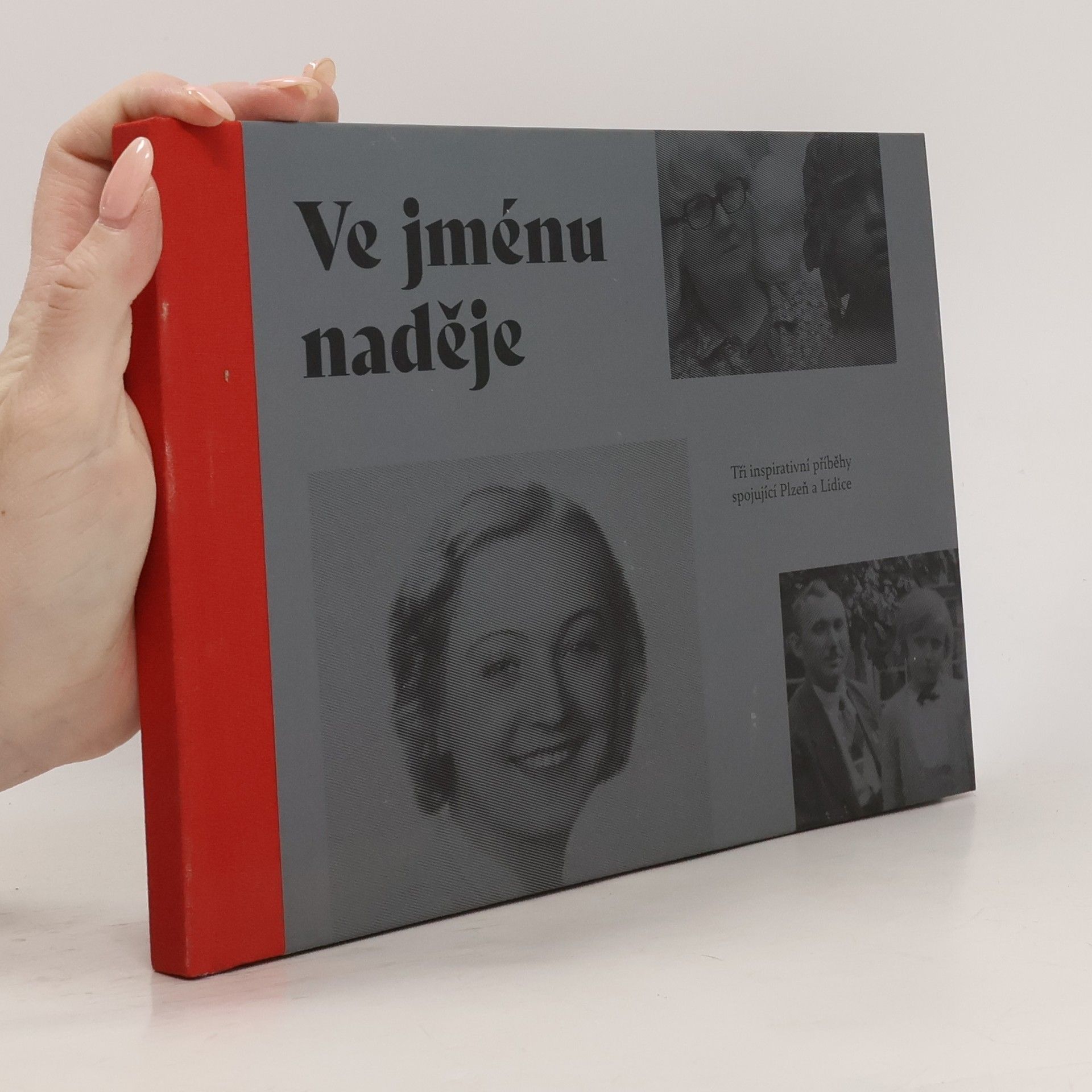 Eduard Stehlík Ve jménu naděje