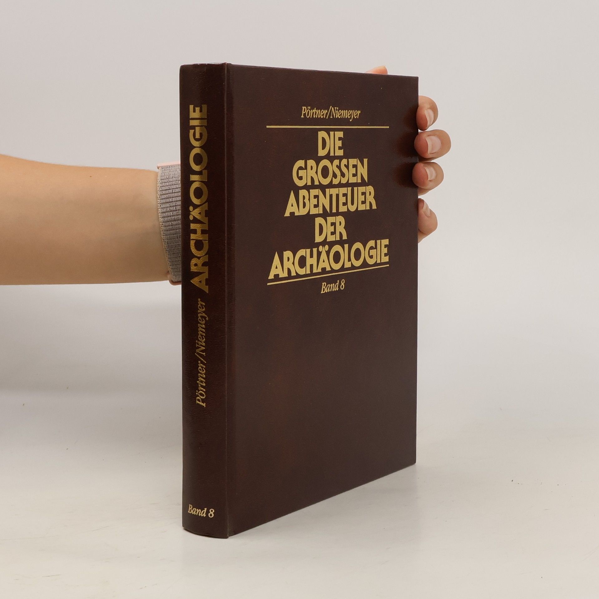 Pörtner Niemeyer Die grossen abenteuer Der Achäologie band 8