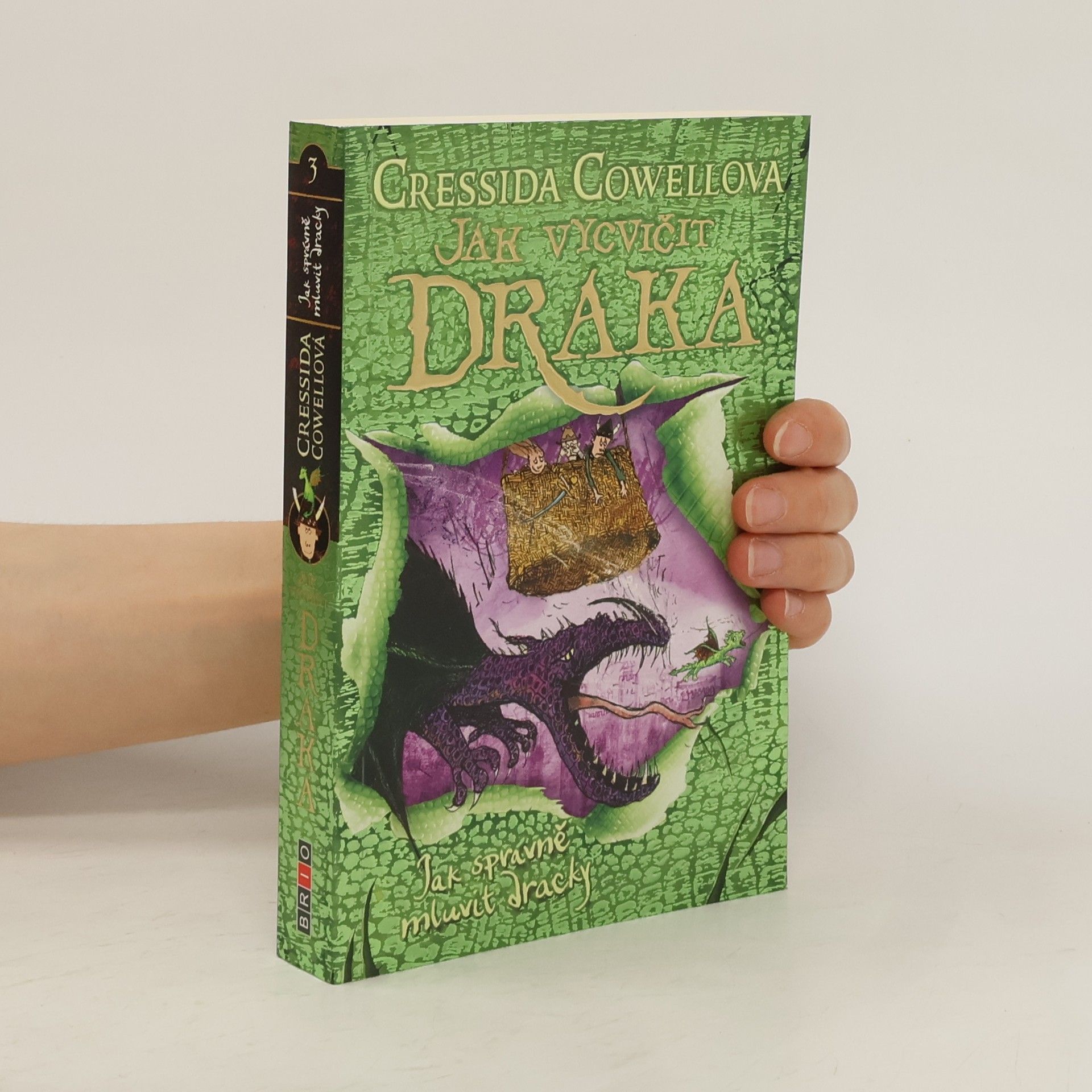 Cressida Cowell Jak správně mluvit dracky