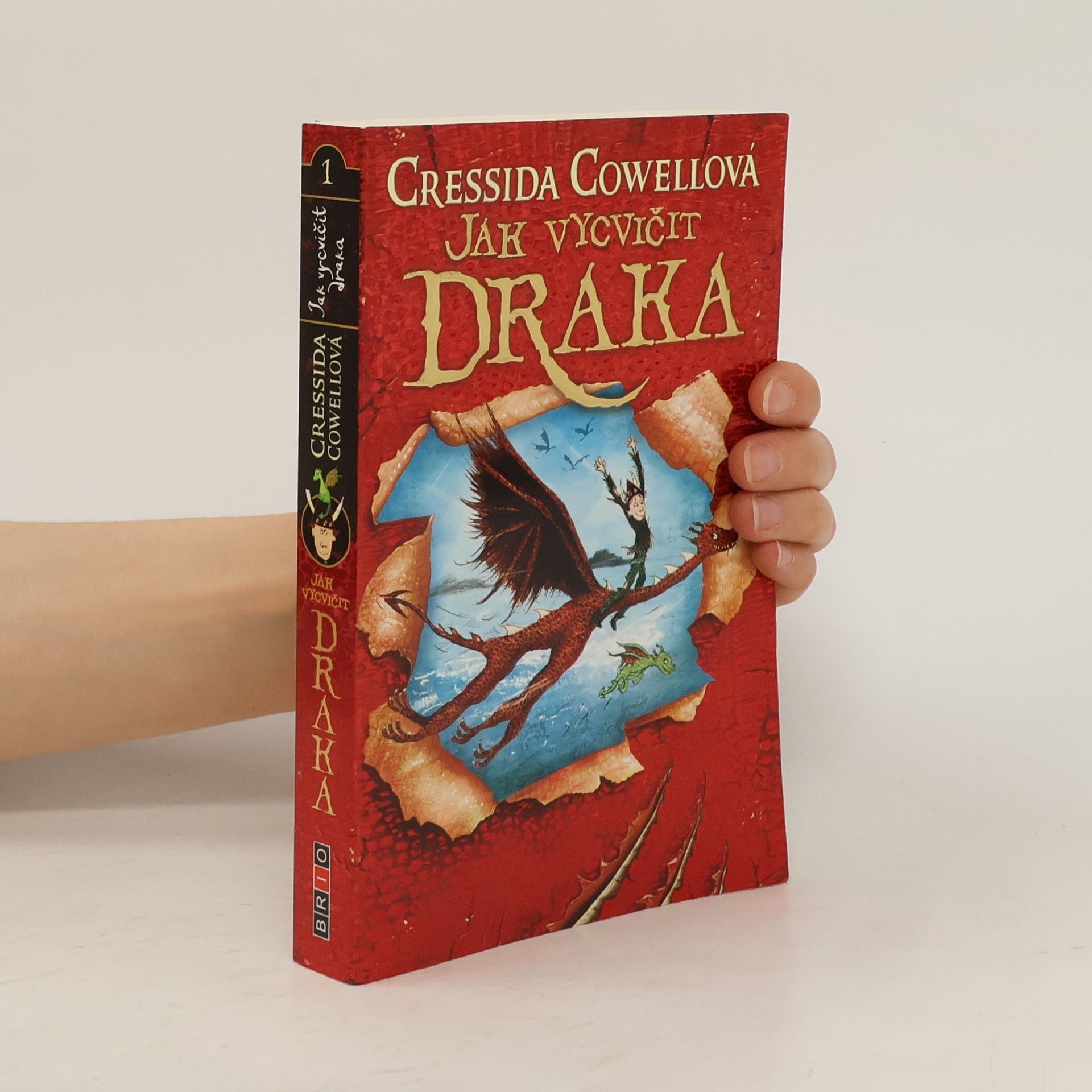 Cressida Cowell Jak vycvičit draka