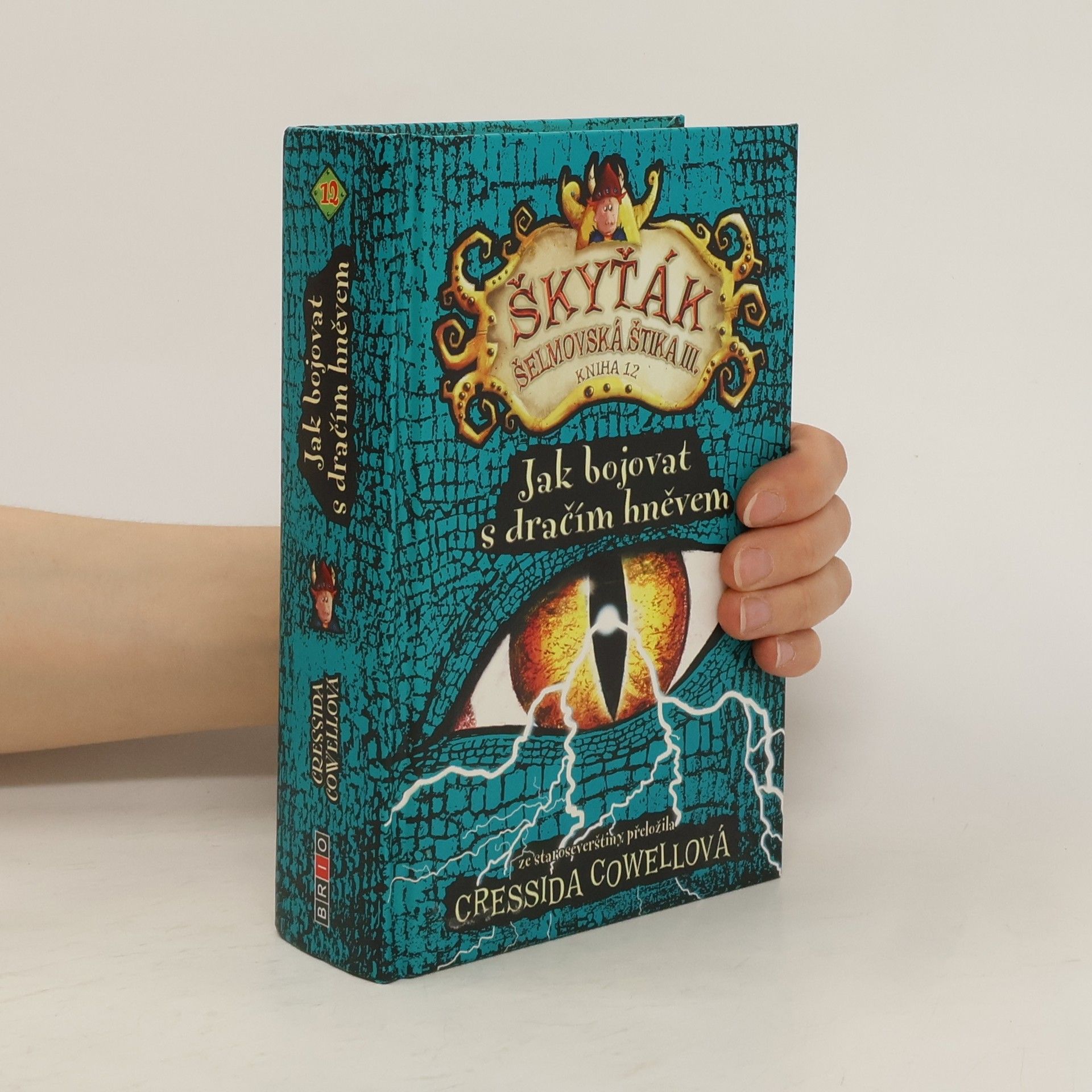 Cressida Cowell Škyťák Šelmovská Štika III. Jak bojovat s dračím hněvem