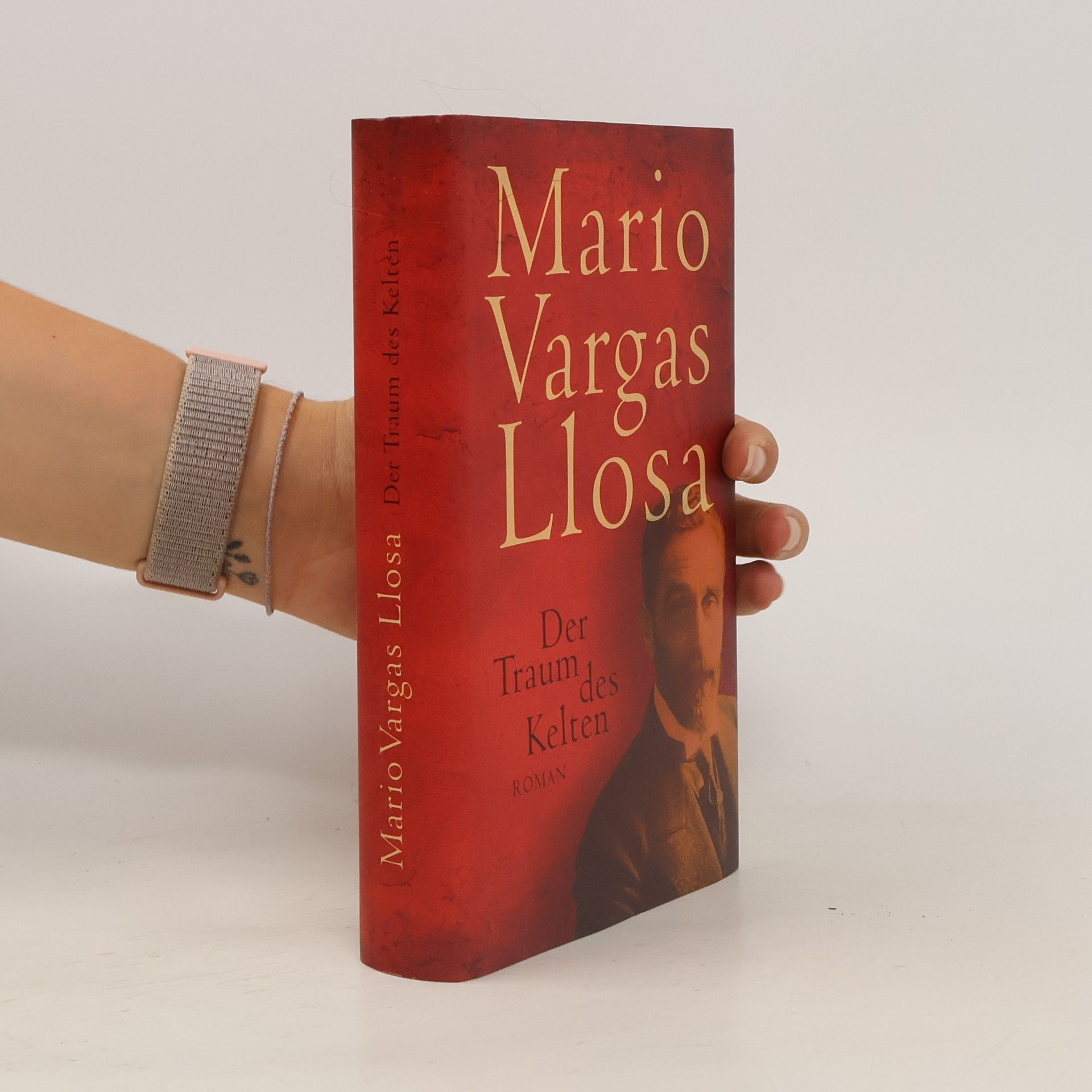 Mario Vargas Llosa Der Traum des Kelten