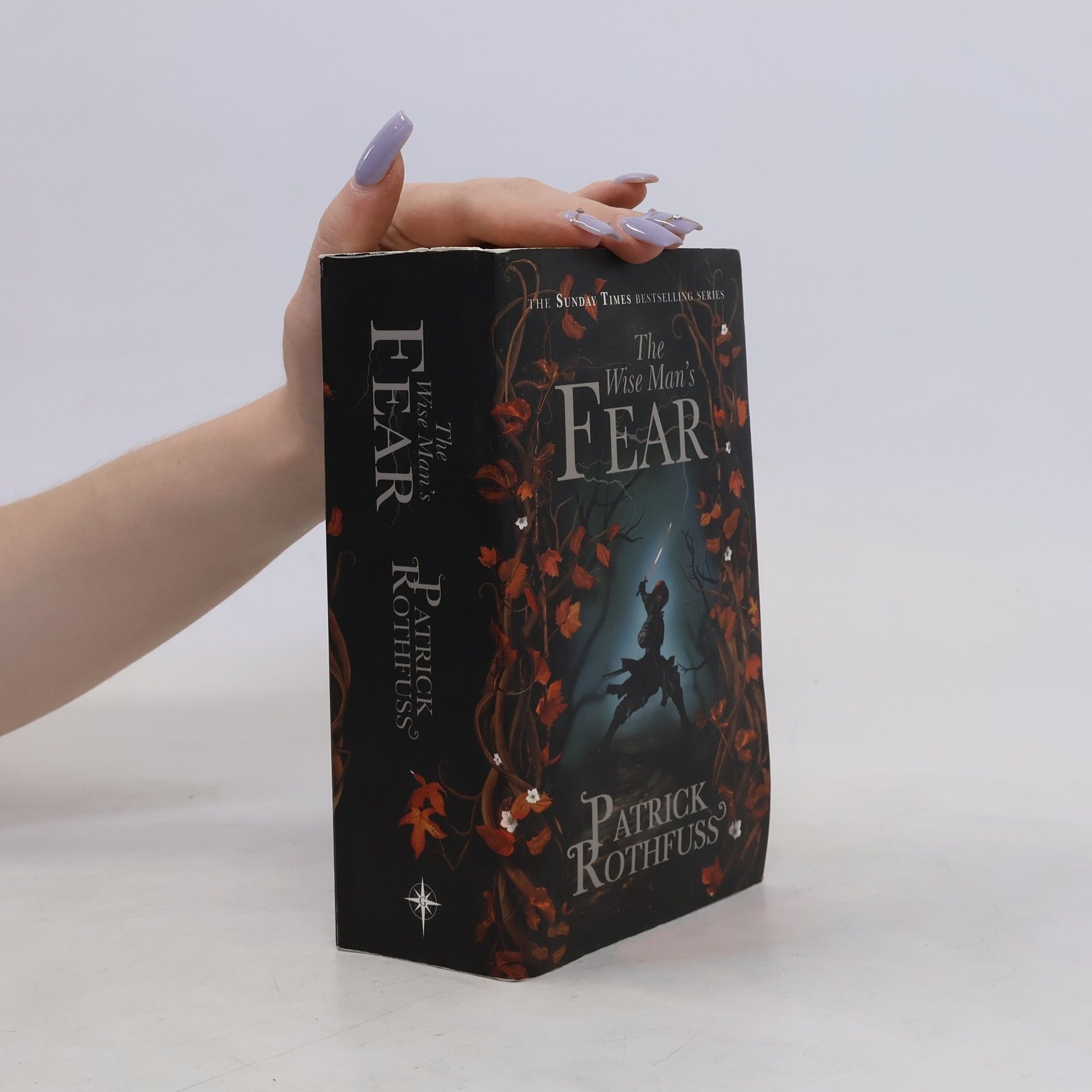 Patrick Rothfuss The Wise Man's Fear