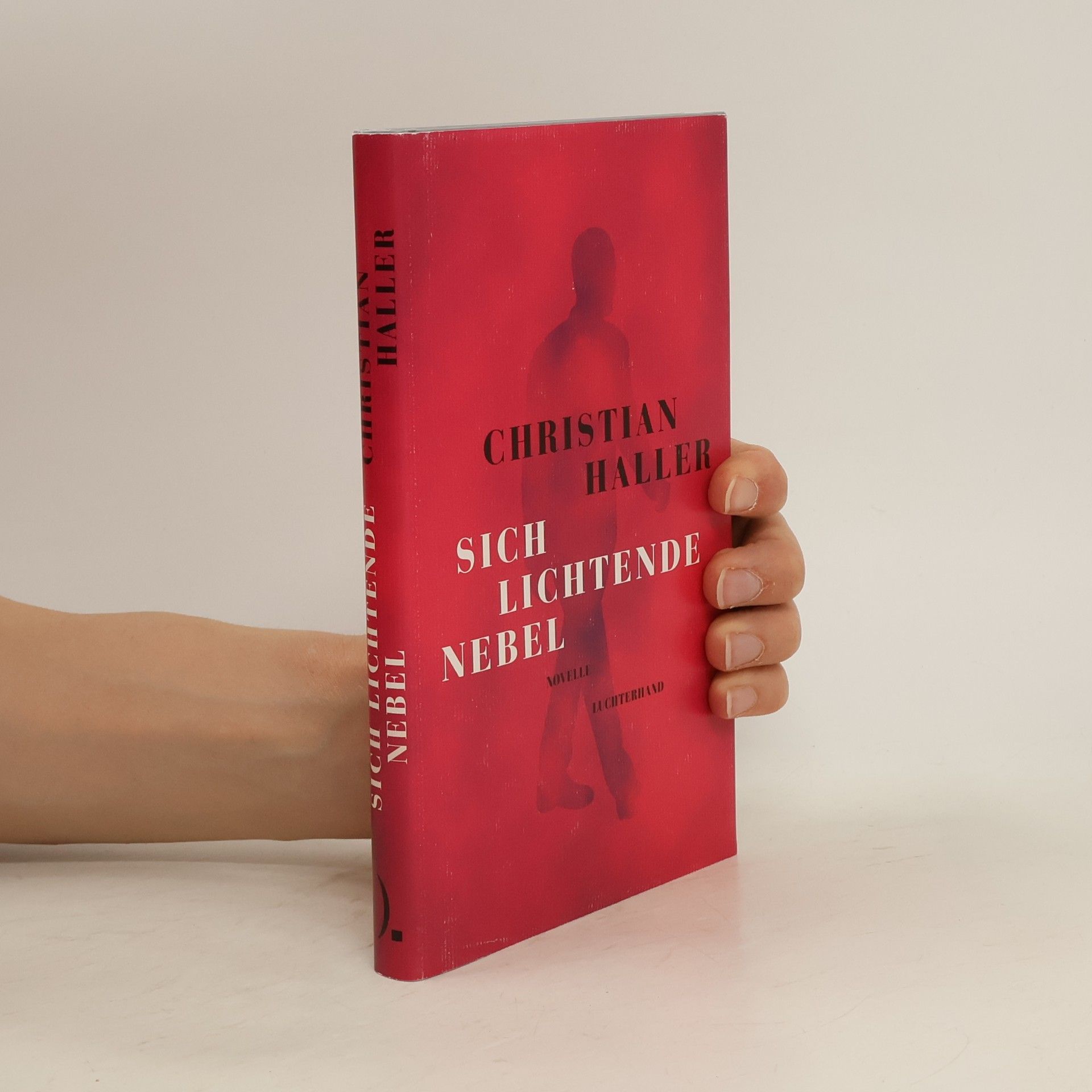 Christian Haller Sich lichtende Nebel