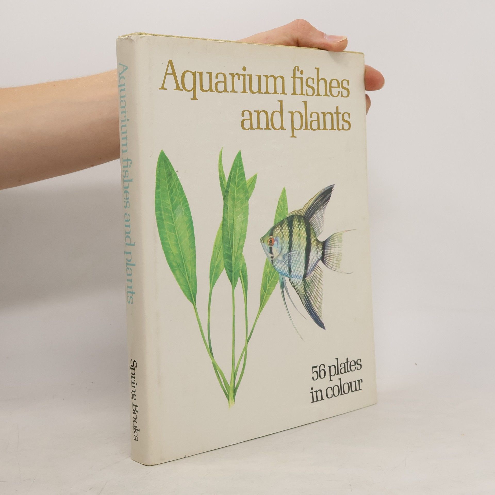 Autorenkollektiv Aquarium Fishes and Plants