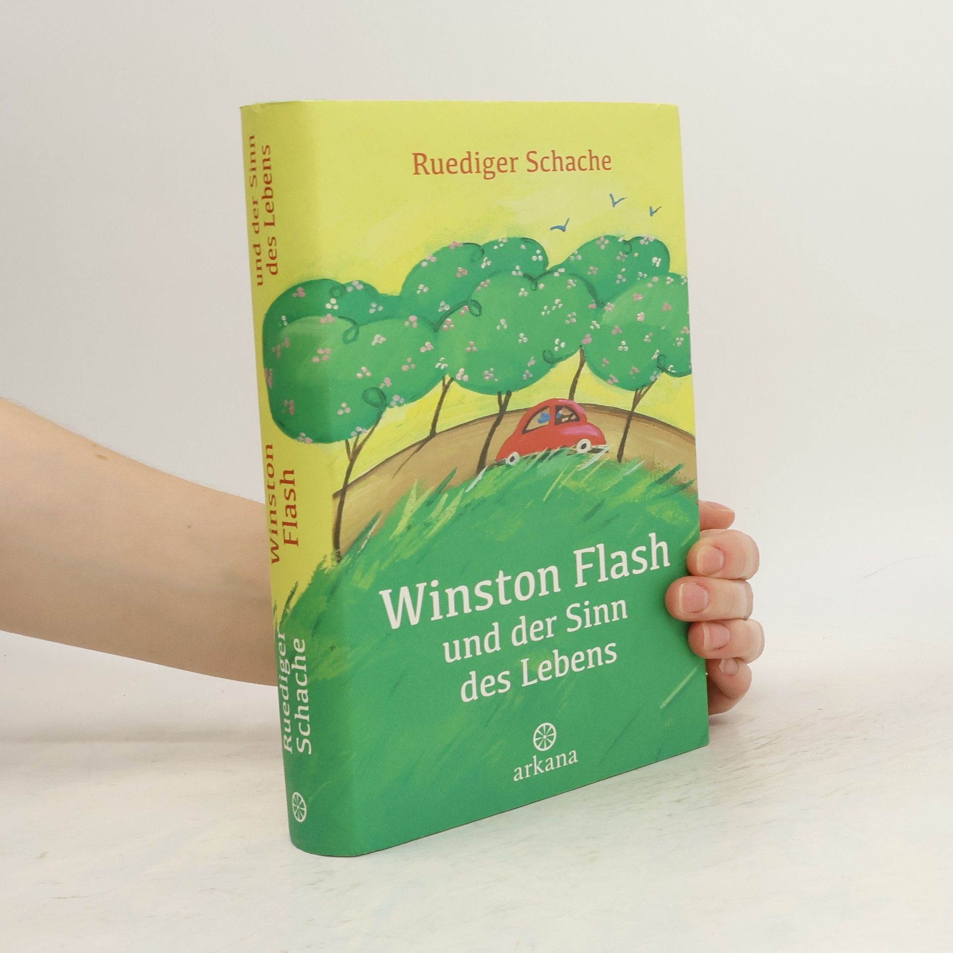 Ruediger Schache Winston Flash und der Sinn des Lebens