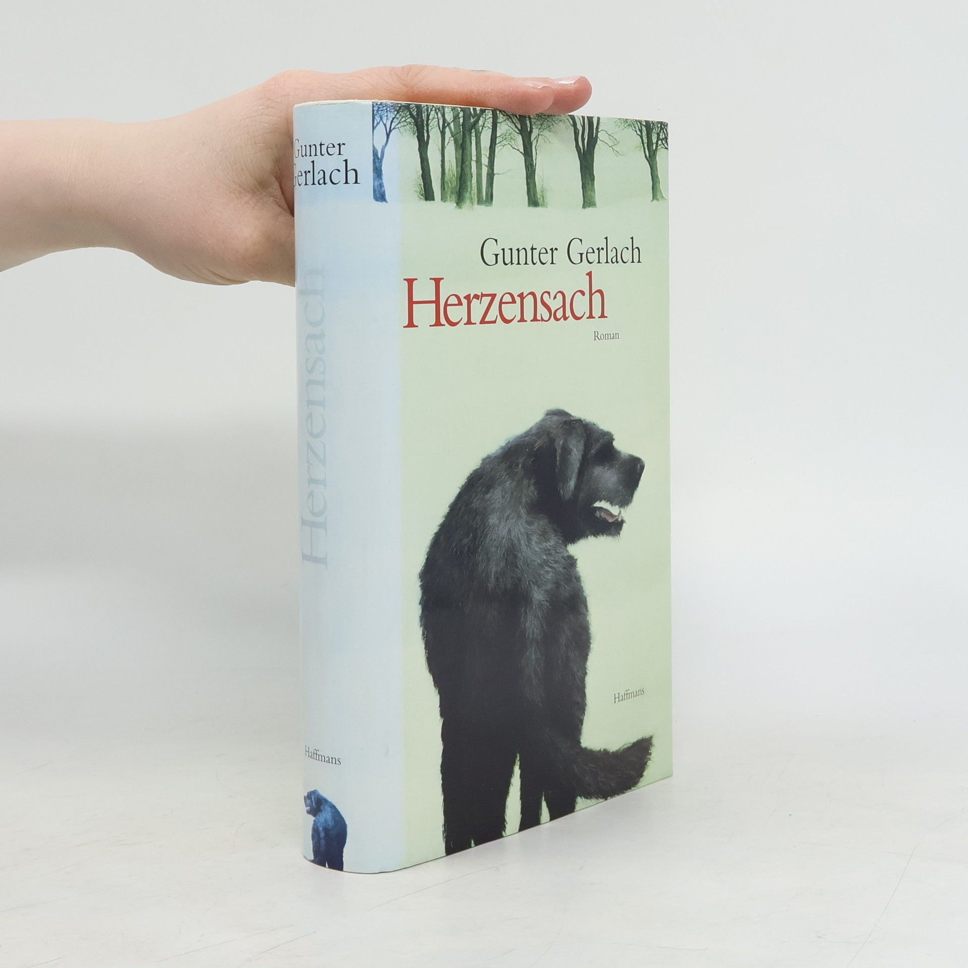 Heinz-Günter Gerlach Herzensach