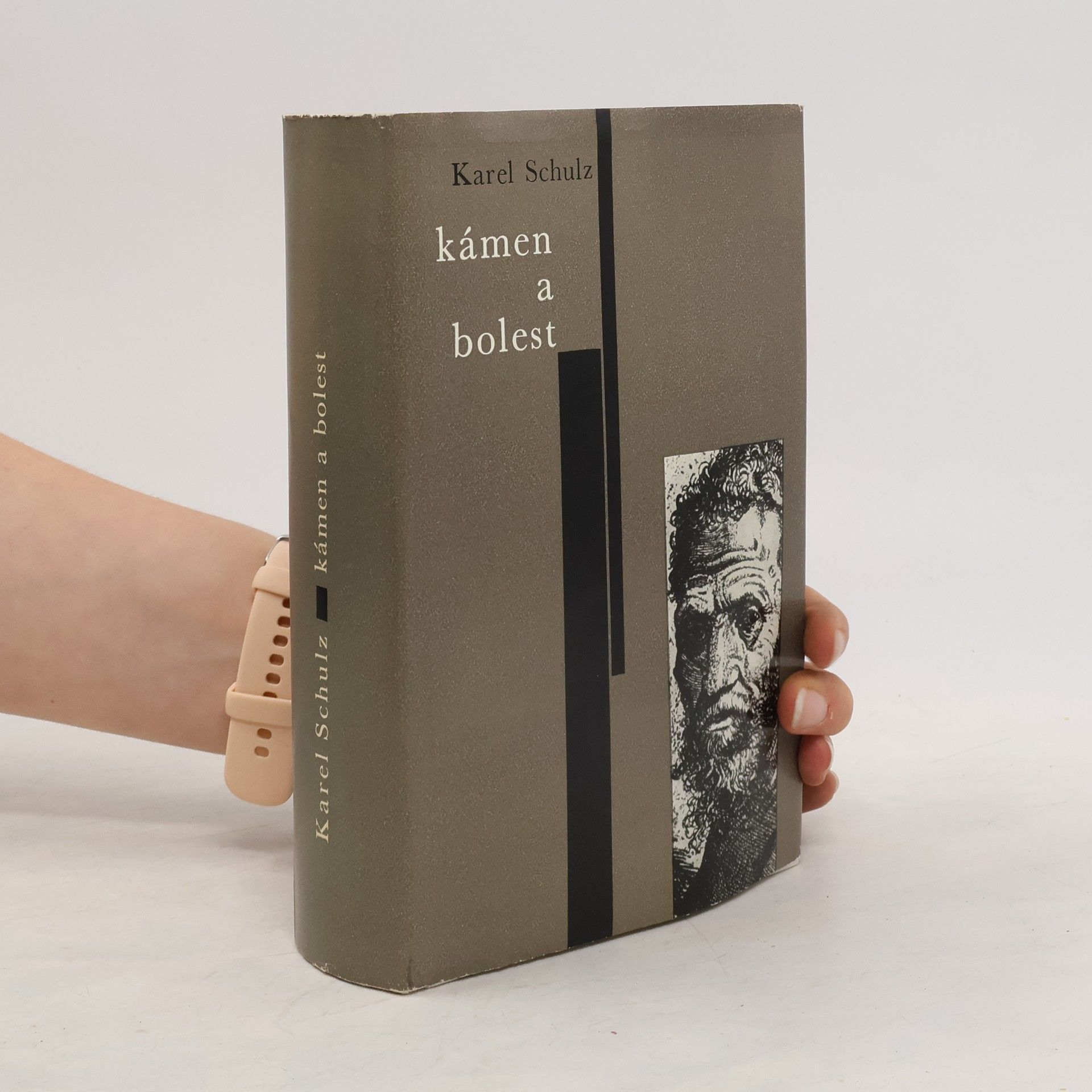 Karel Schulz Kámen a bolest