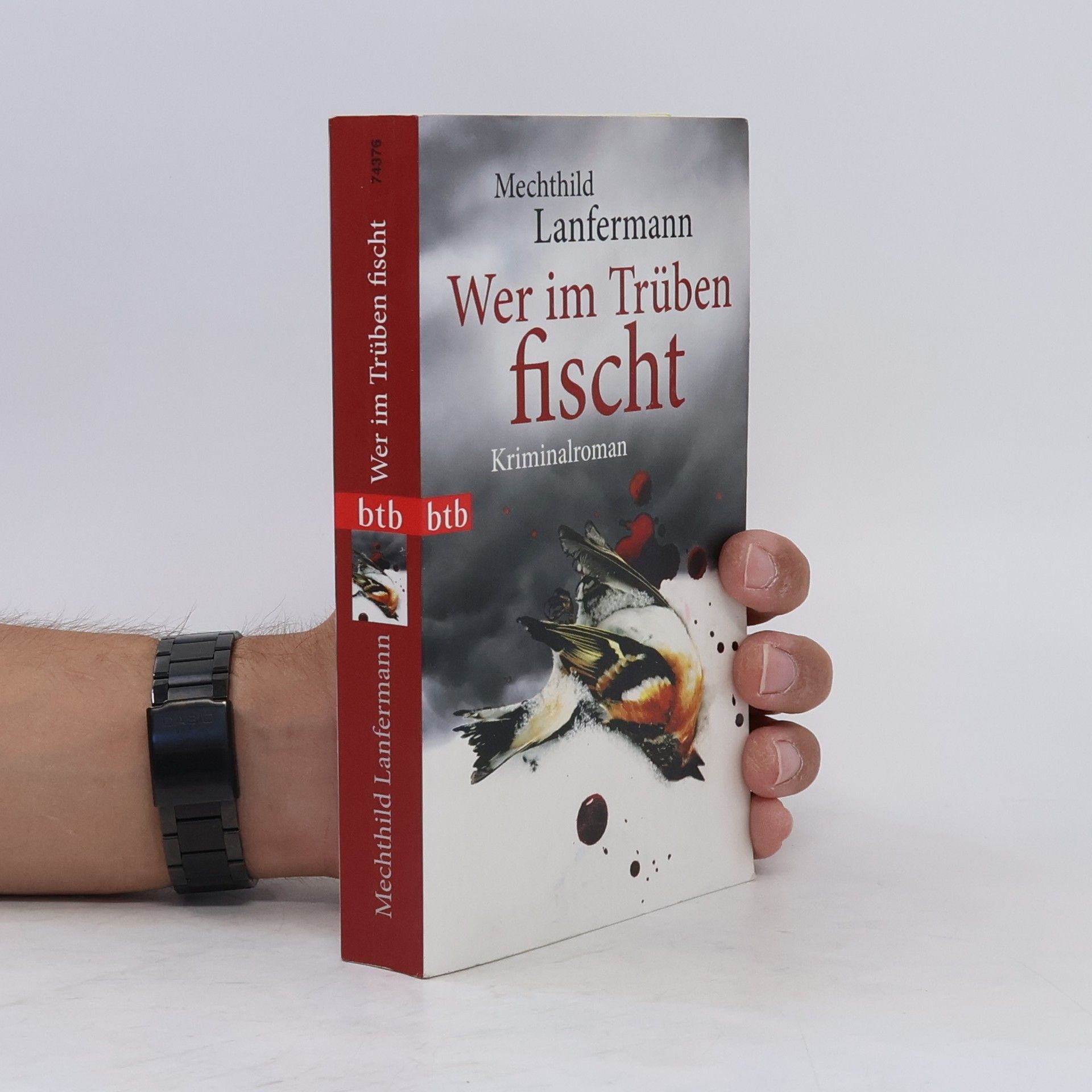 Mechthild Lanfermann Wer im Trüben fischt