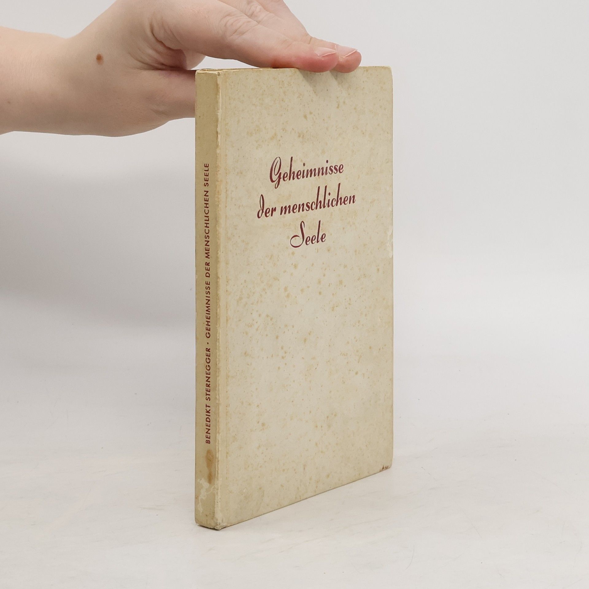 Benedikt Sternegger Geheimnisse der menschlichen Seele