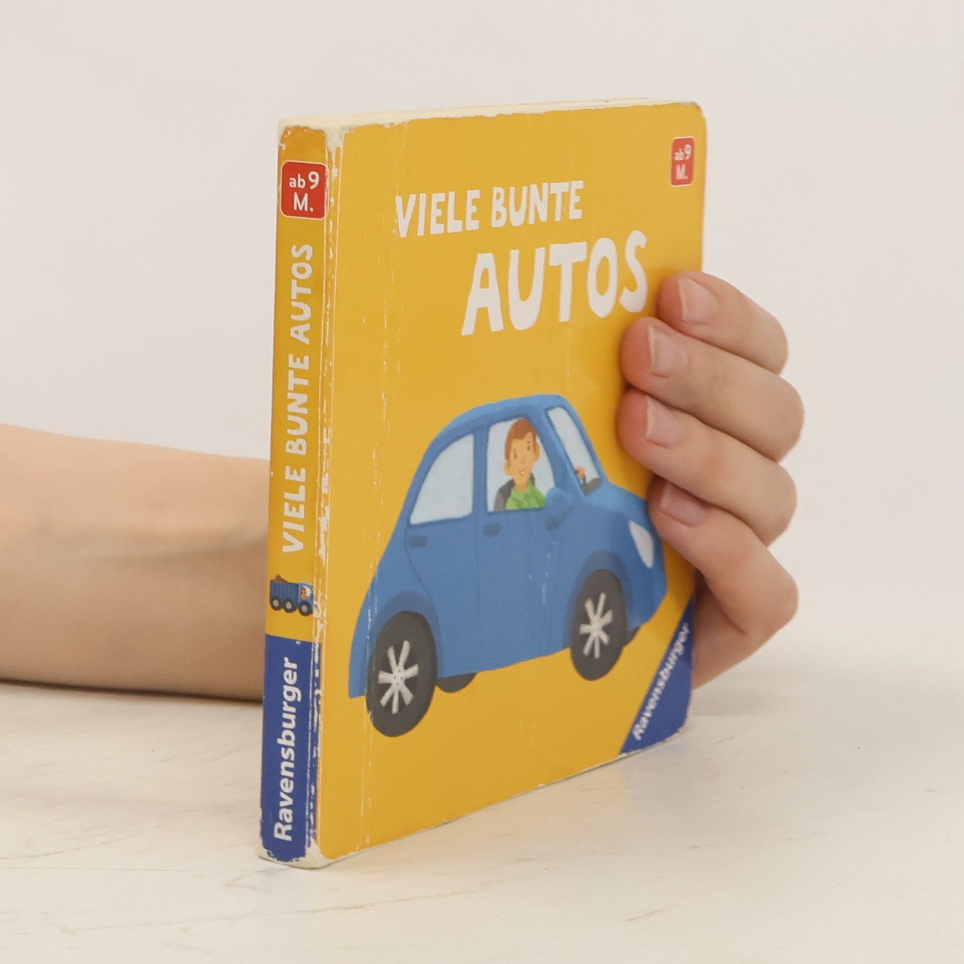 Meike Teichmann Viele bunte Autos. Mein erstes Bilderbuch