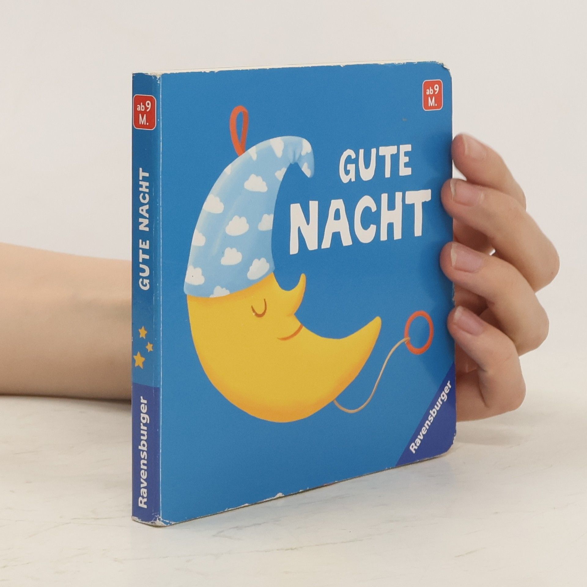 Meike Teichmann Gute Nacht. Mein erstes Bilderbuch