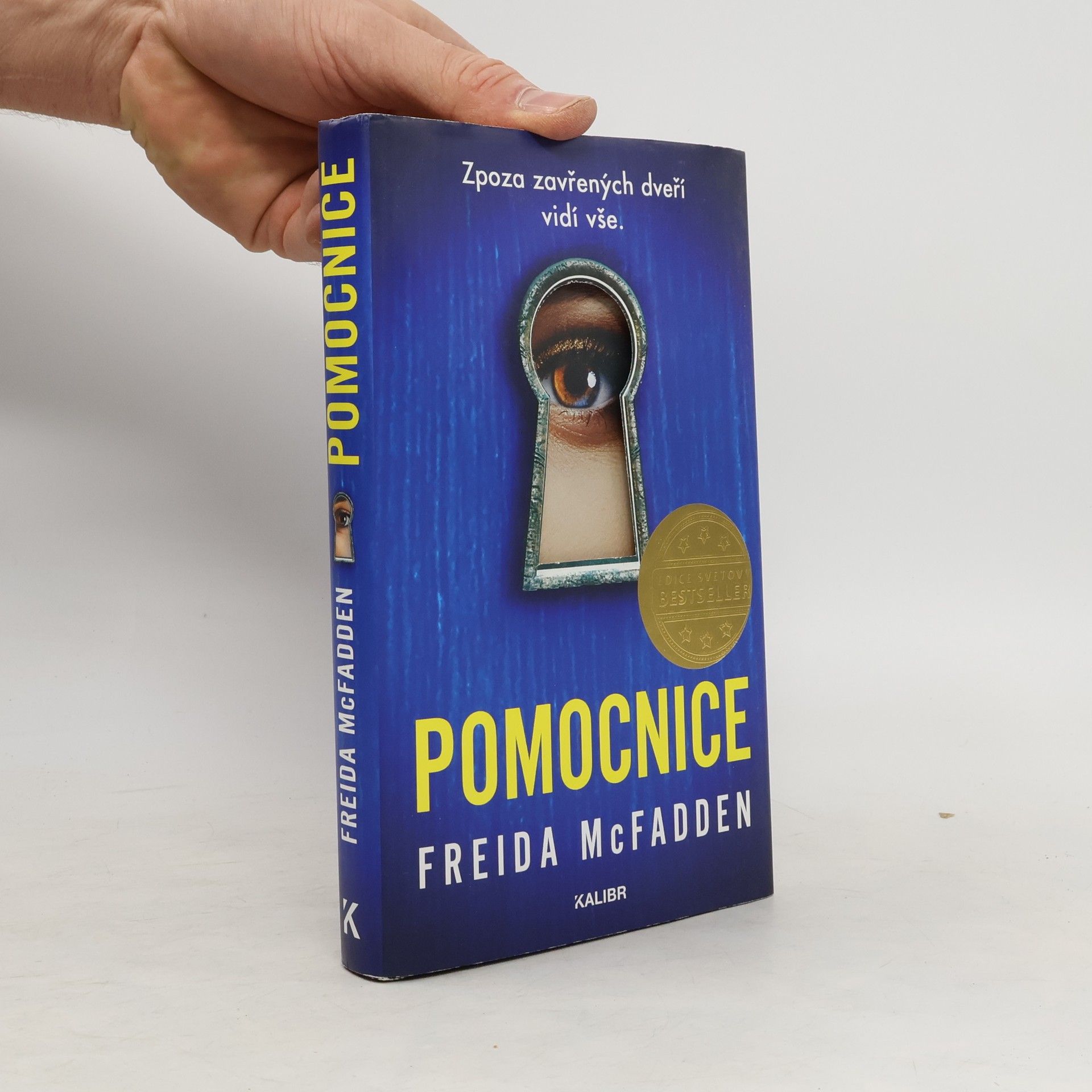 Freida McFadden Pomocnice