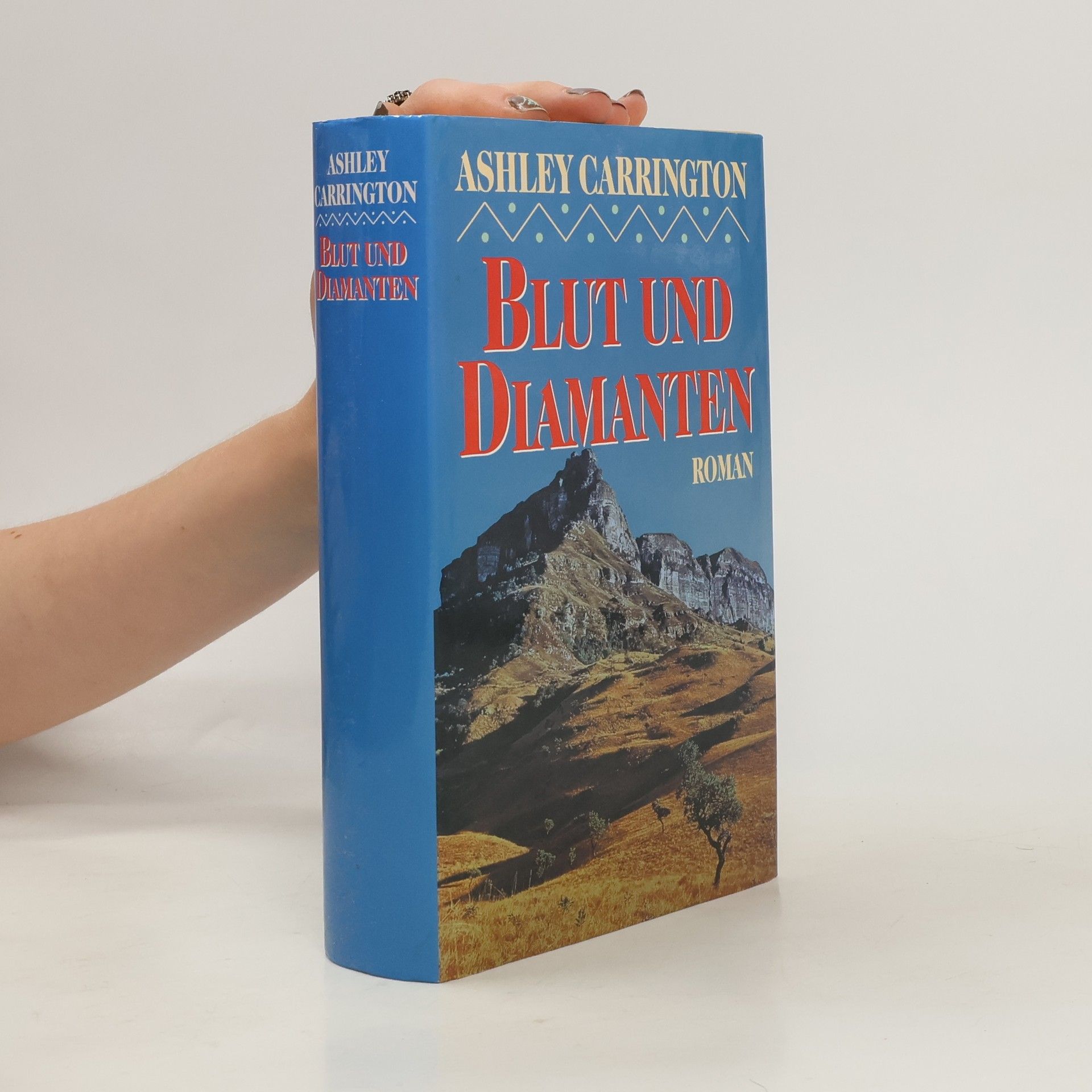 Rainer M. Schröder Blut und Diamanten
