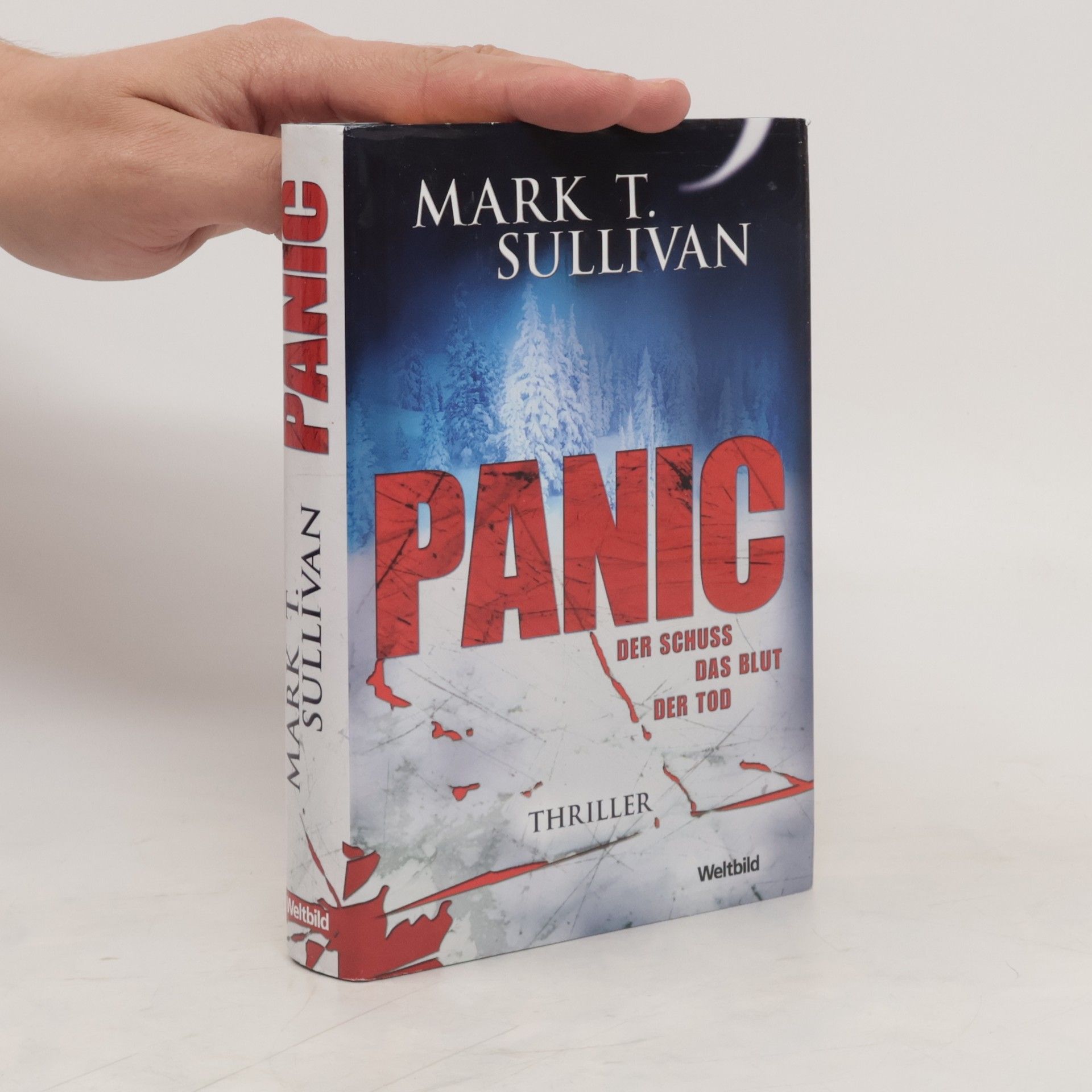 Mark T. Sullivan Panic