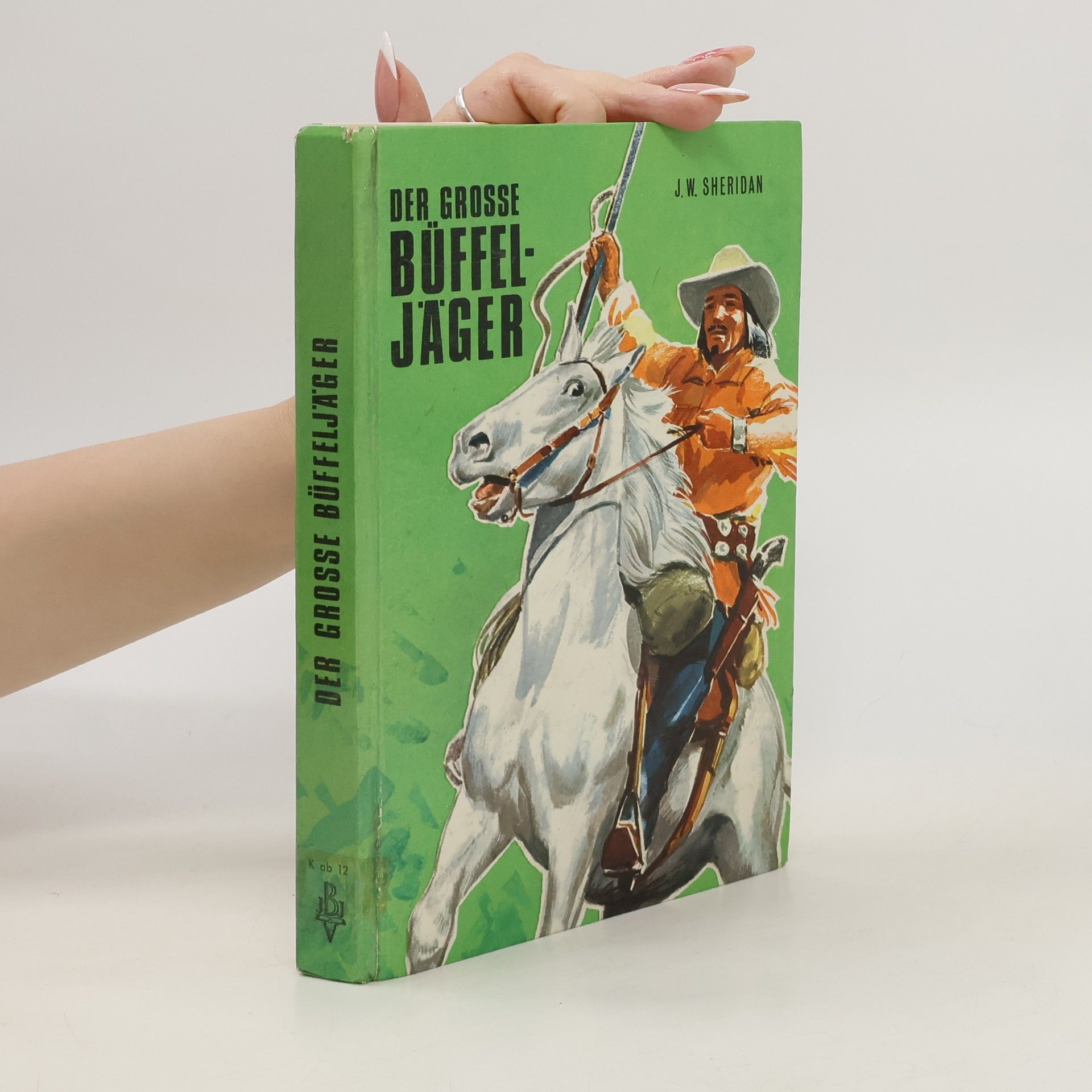 J. W. Sheridan Der grosse Büffeljäger