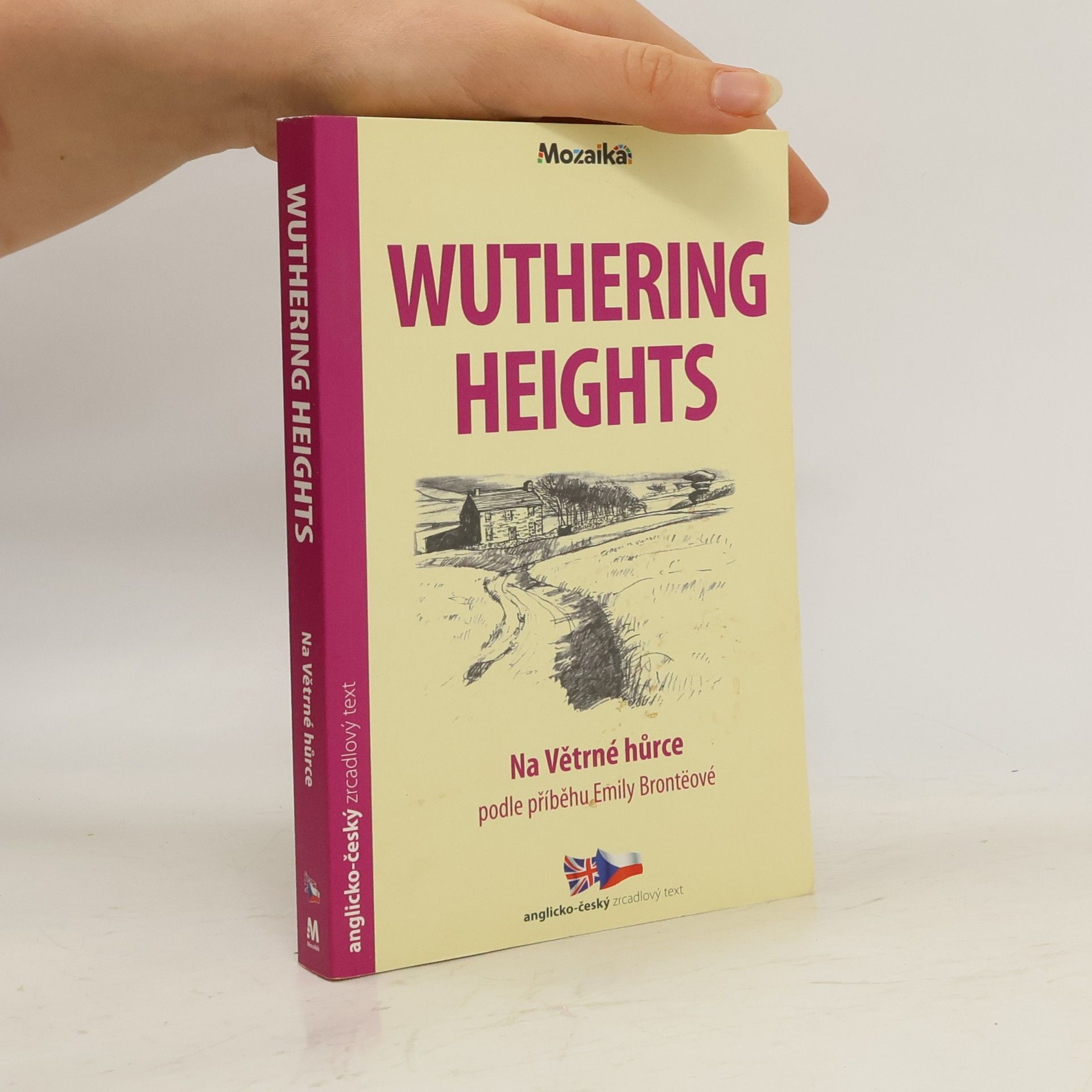 kolektiv Wuthering Heights / Na Větrné hůrce