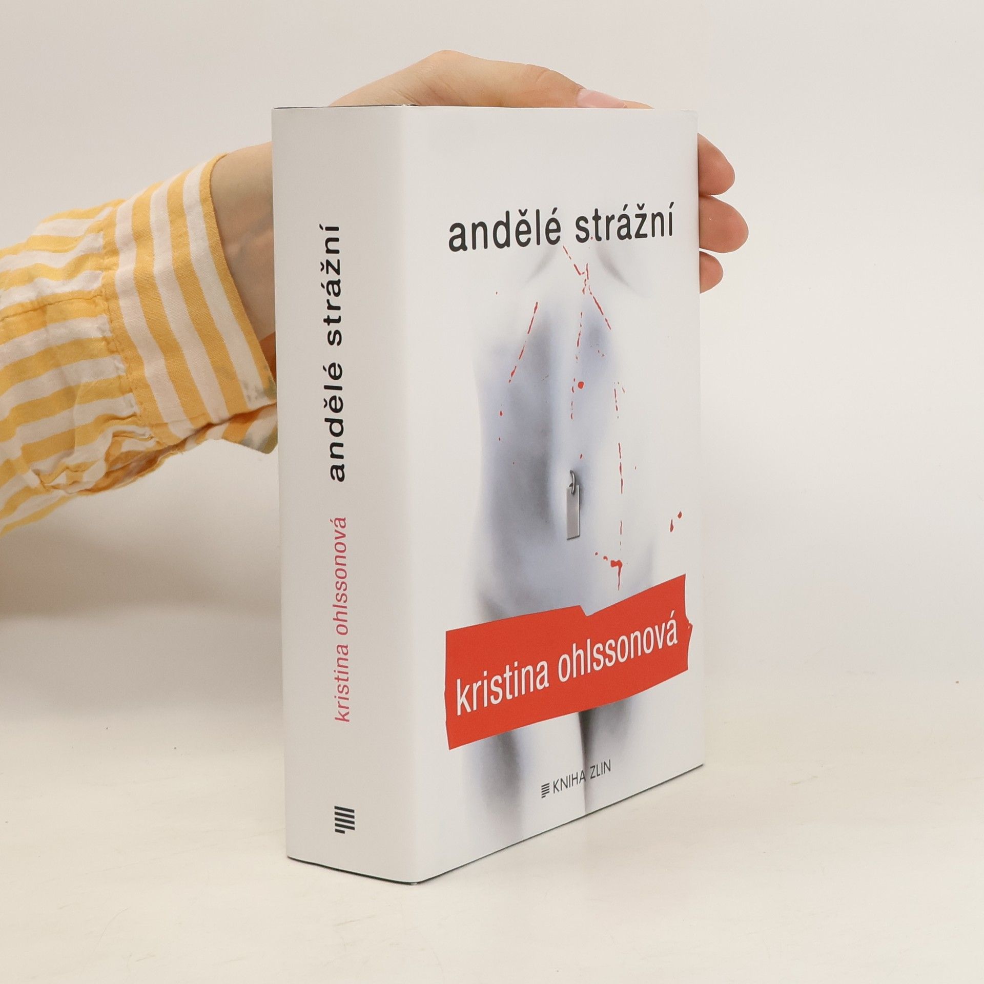 Kristina Ohlsson Andělé strážní