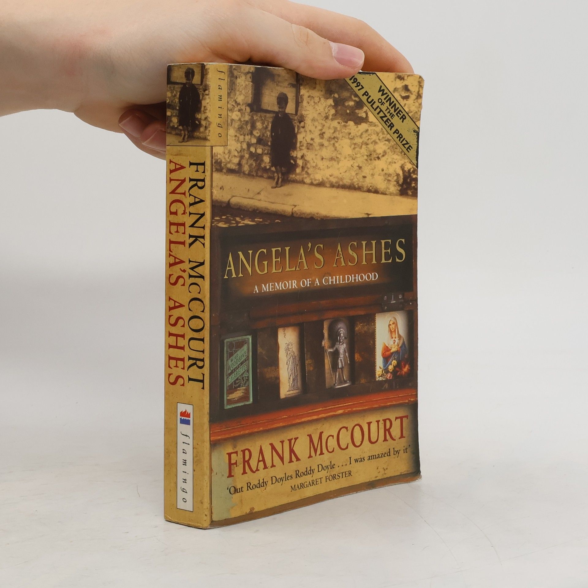 Frank McCourt Angela's ashes. A memoir of a childhood