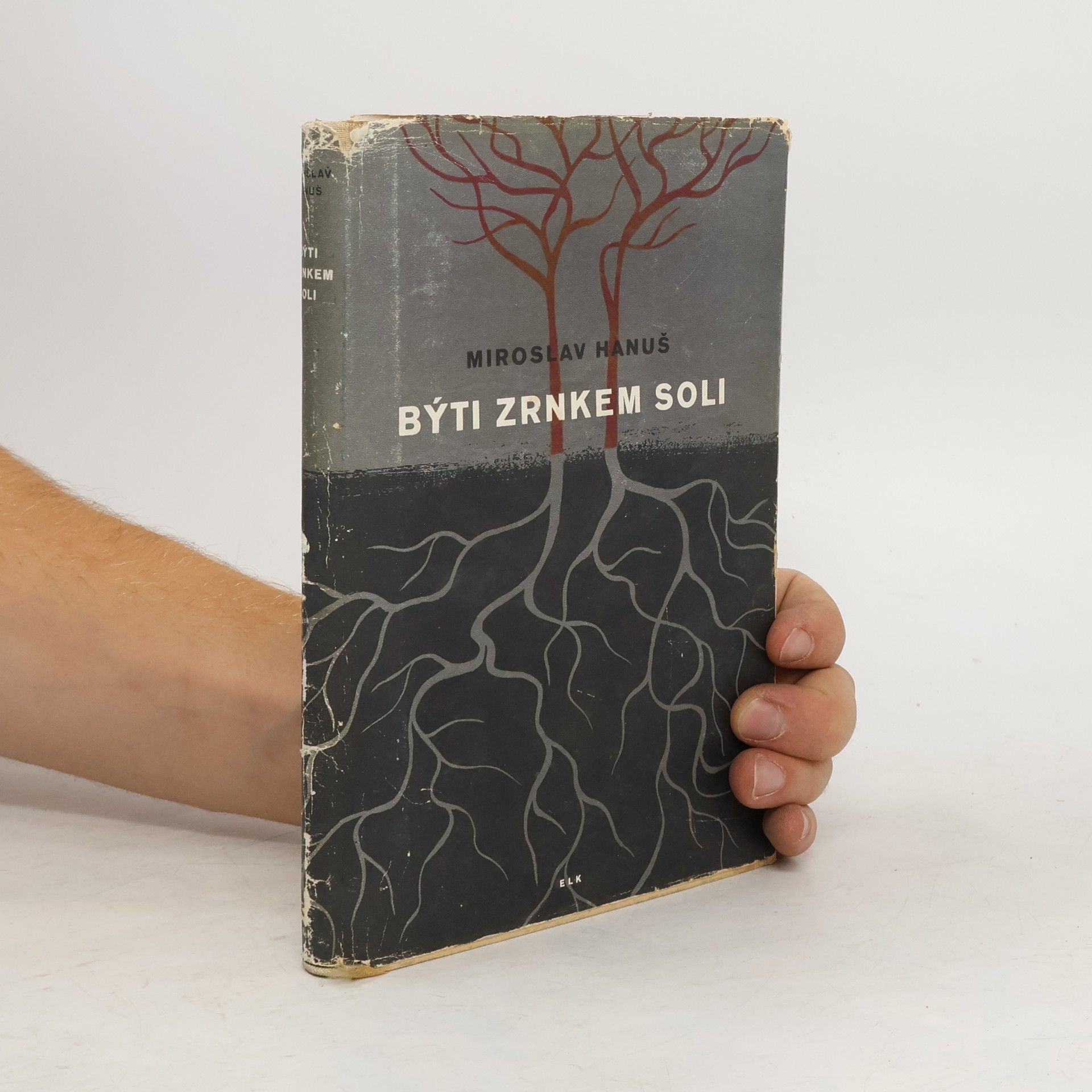 Miroslav Hanuš Býti zrnkem soli