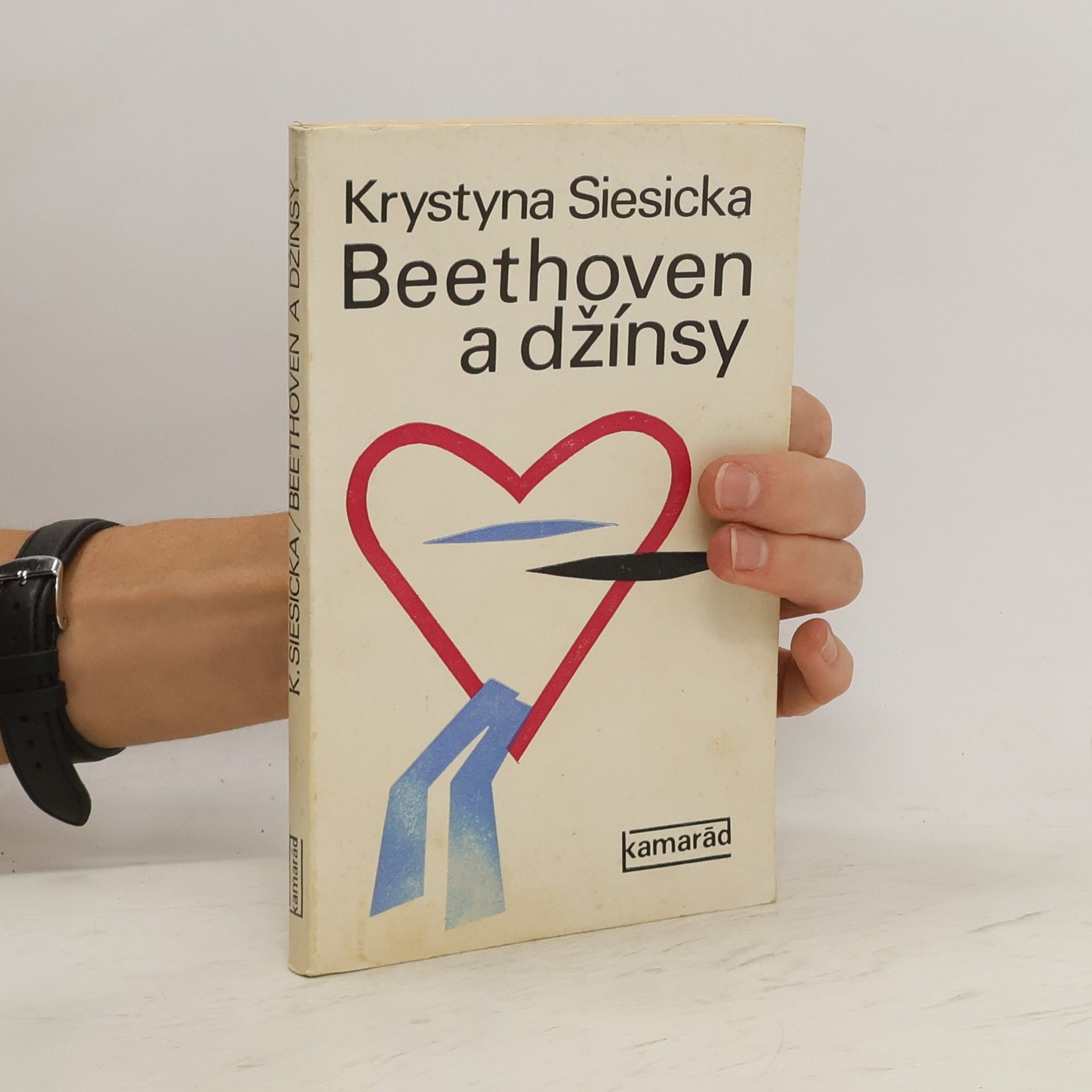 Krystyna Siesicka Beethoven a džínsy