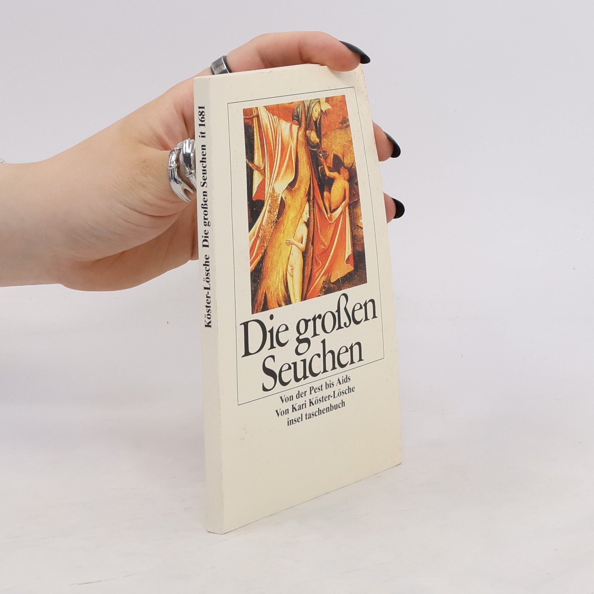 Kari Köster-Lösche Die grossen Seuchen