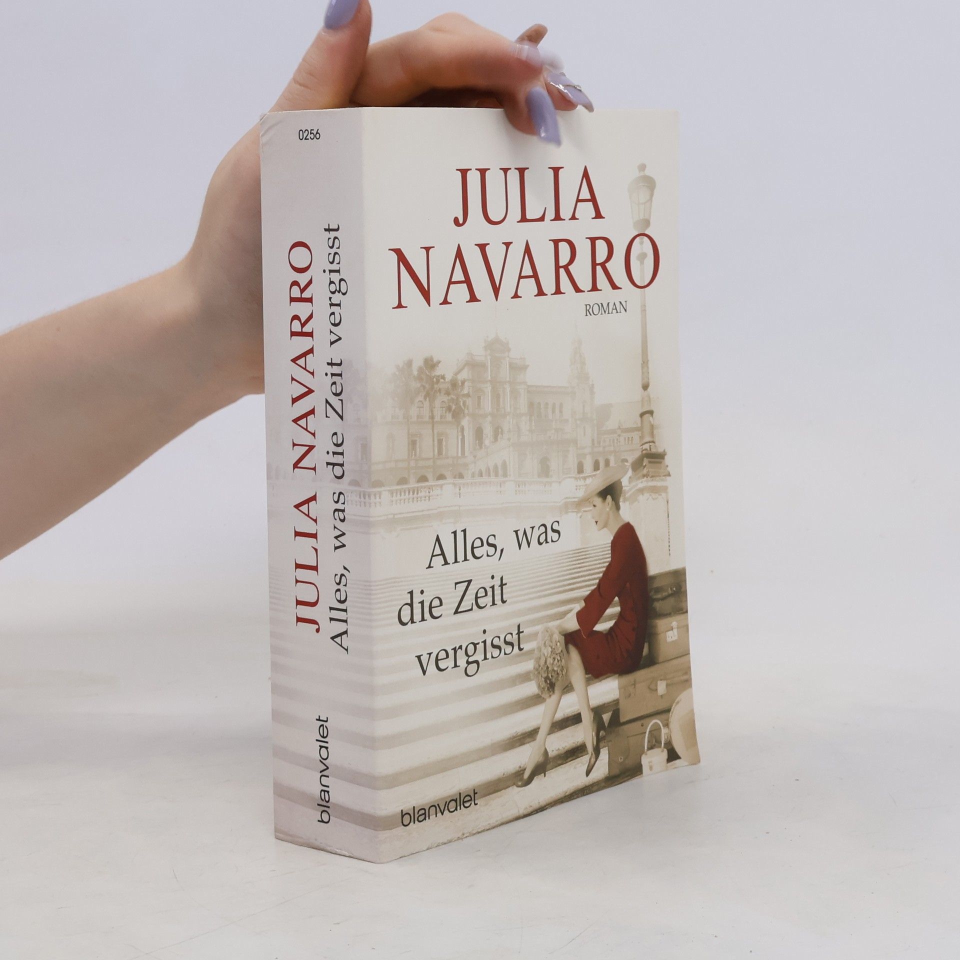 Julia Navarro Alles, was die Zeit vergisst