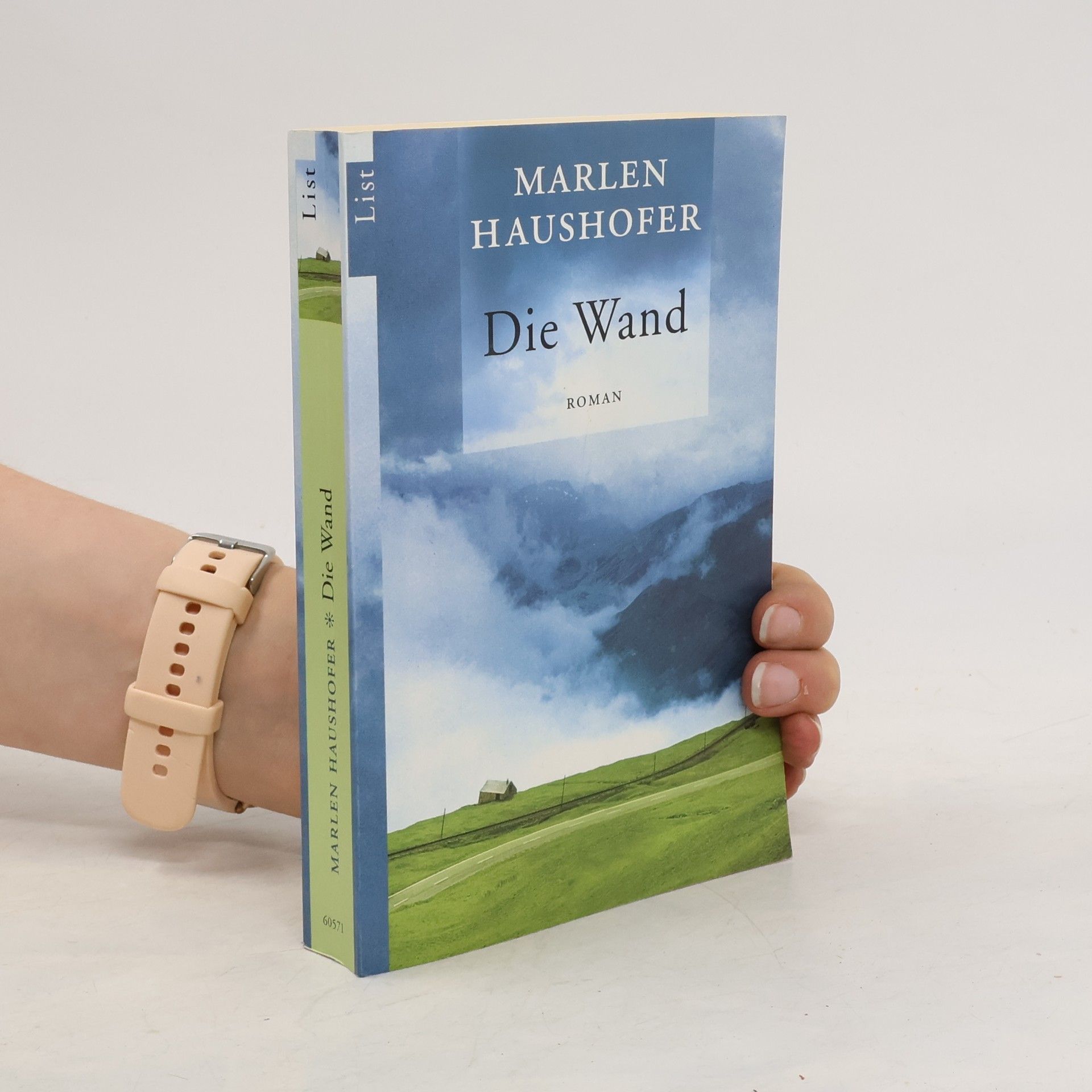 Marlen Haushofer Die Wand
