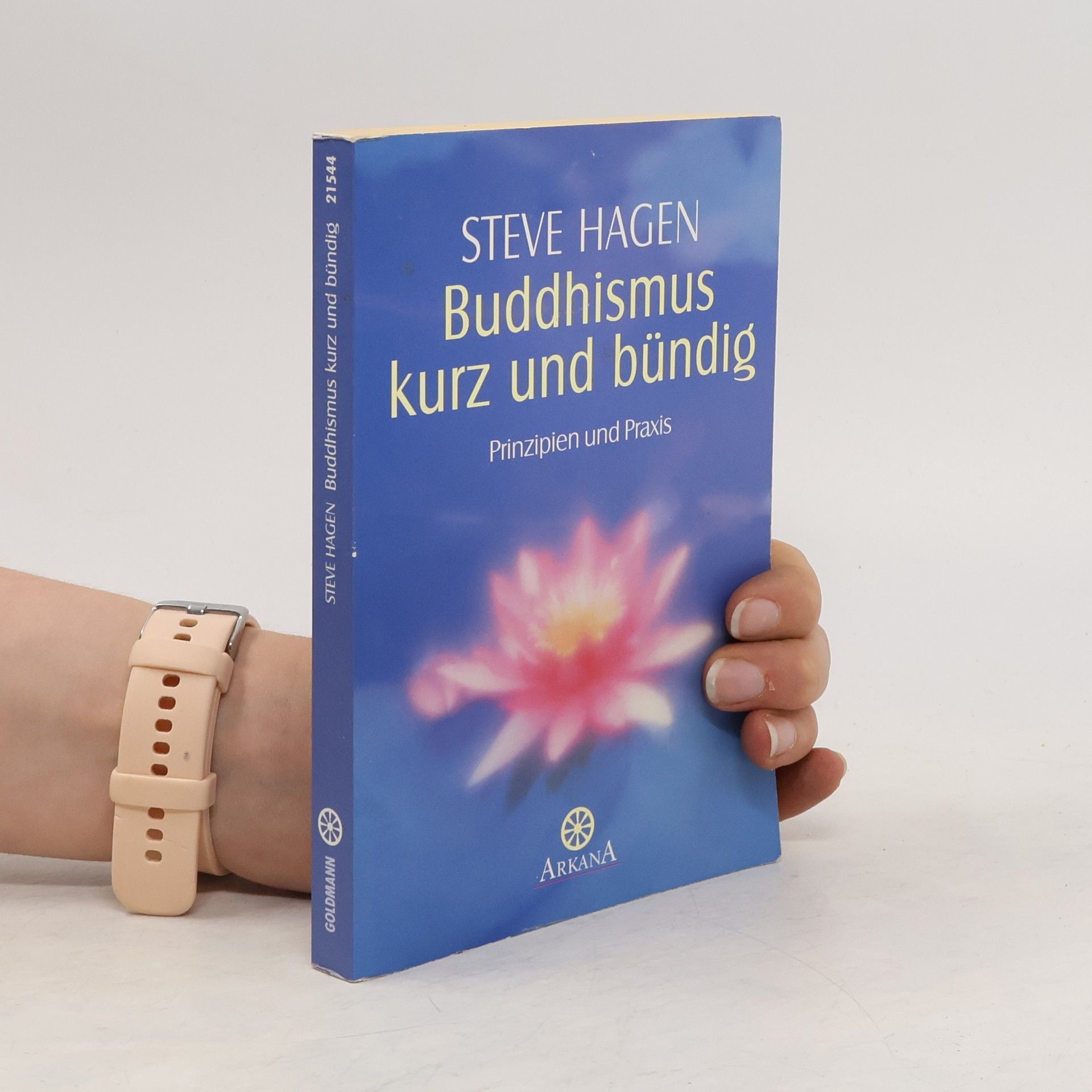 Steve Hagen Buddhismus kurz und bündig