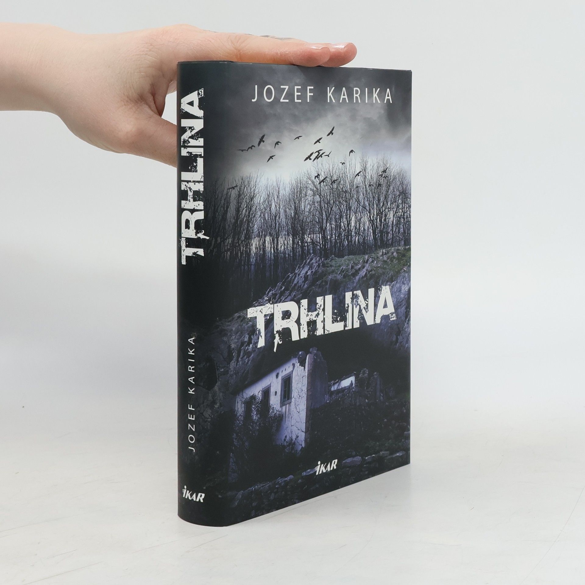 Jozef Karika Trhlina