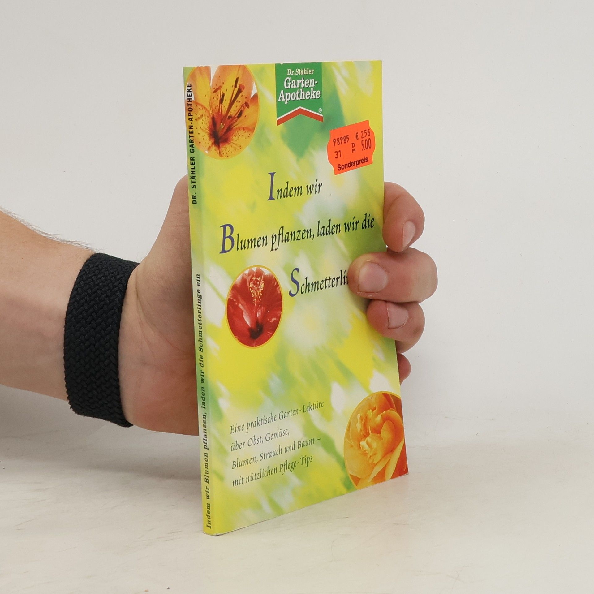 Petra Clamer Indem wir Blumen pflanzen, laden wir die Schmetterlinge ein